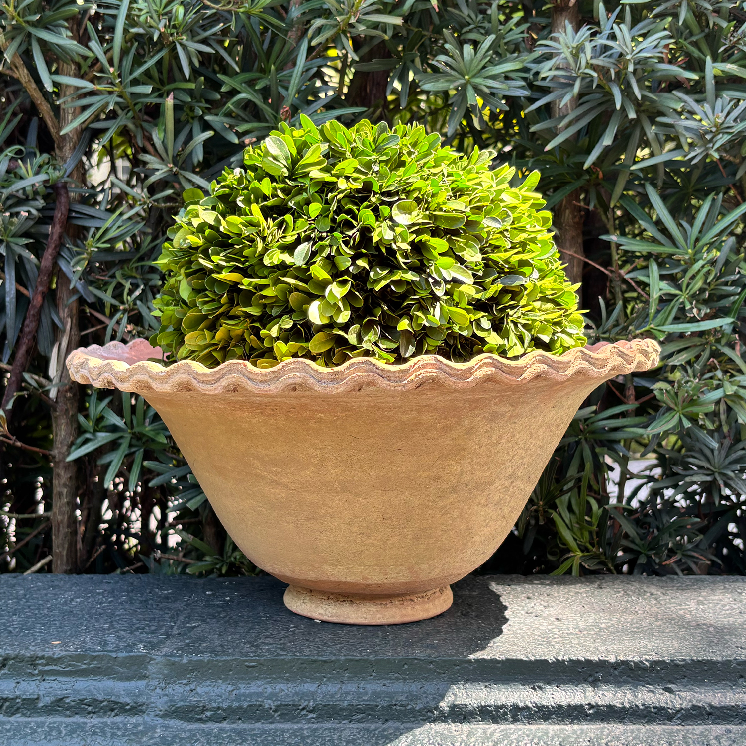 Italian Garden Pot in Terra Cotta