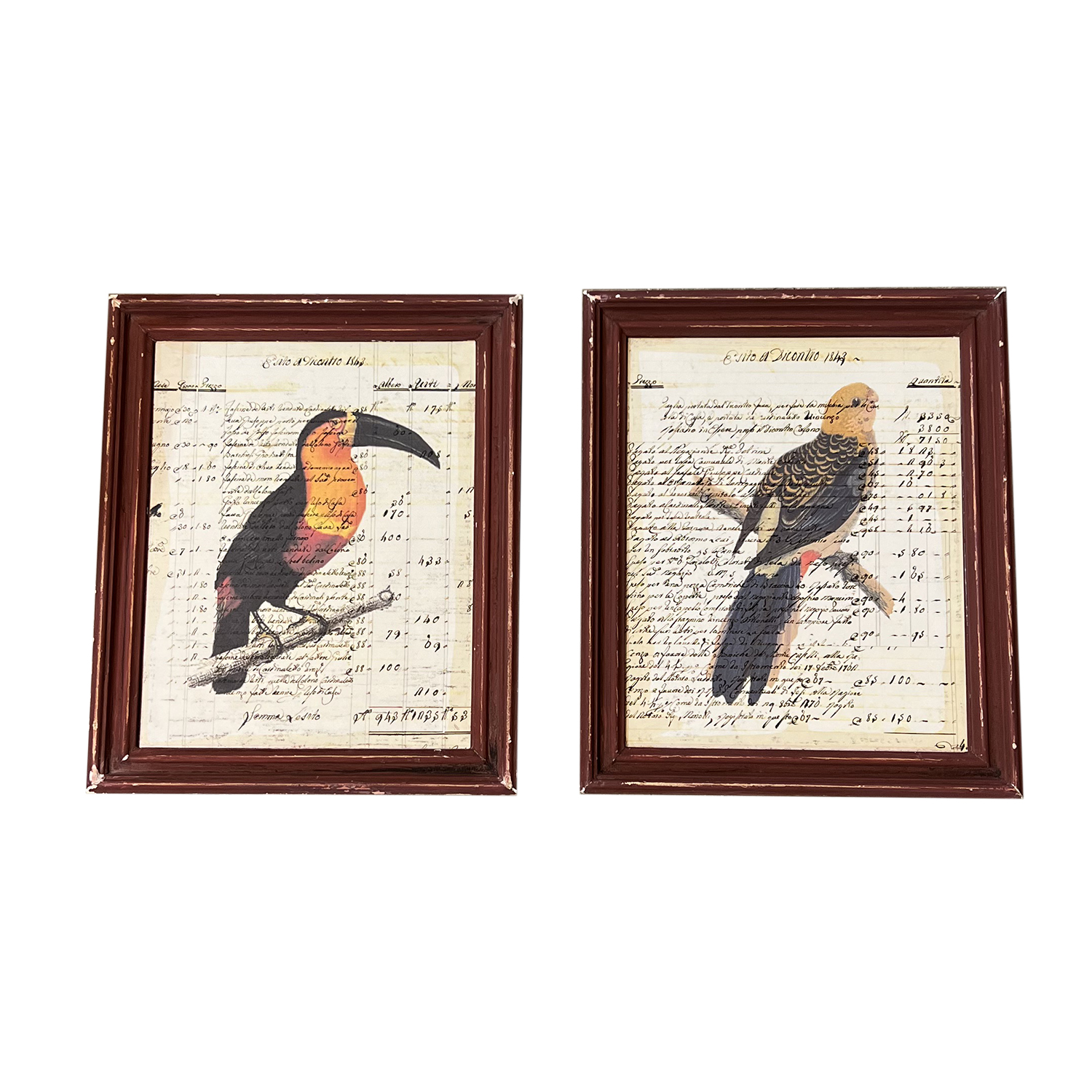 Italian Bird Prints