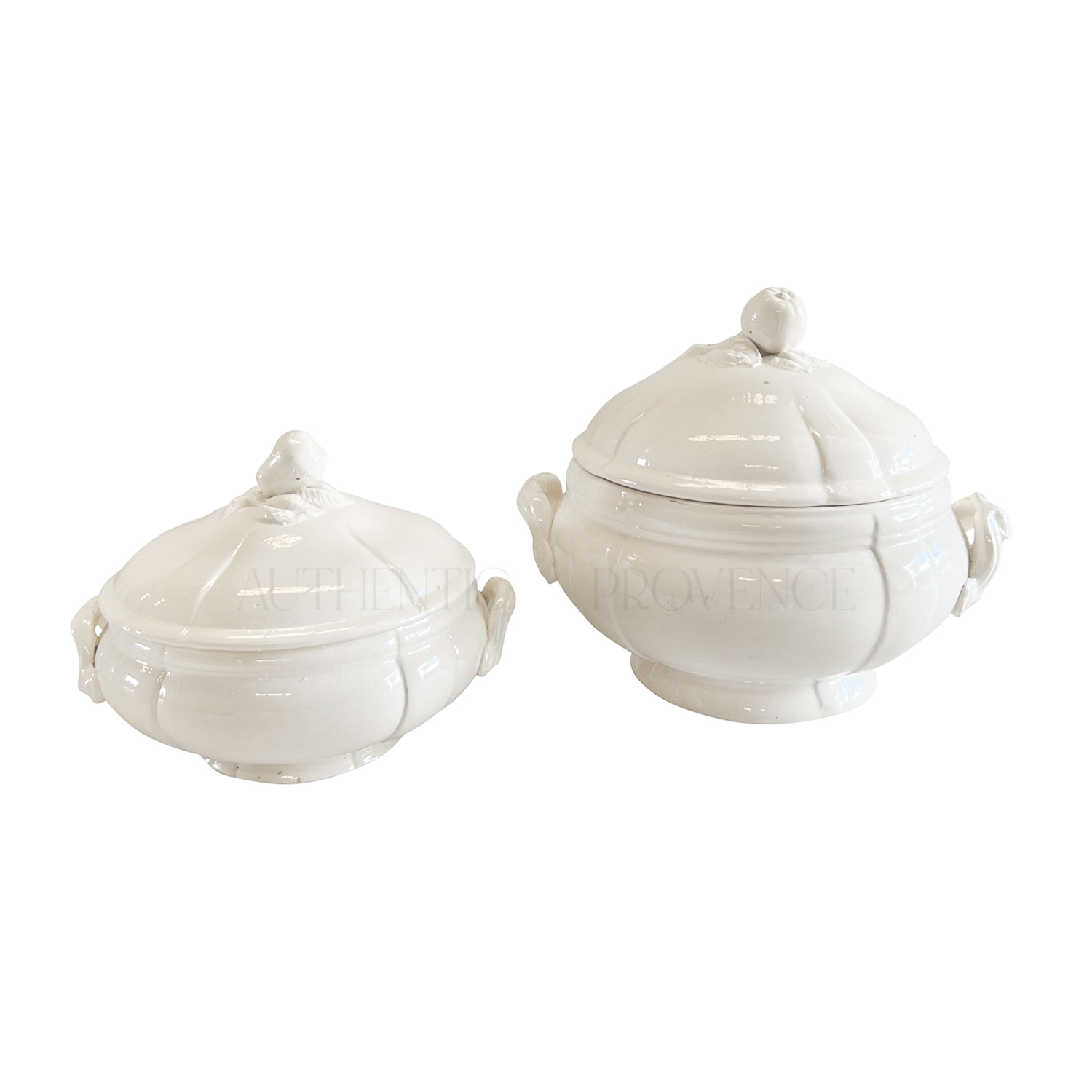 French Soupières 1900