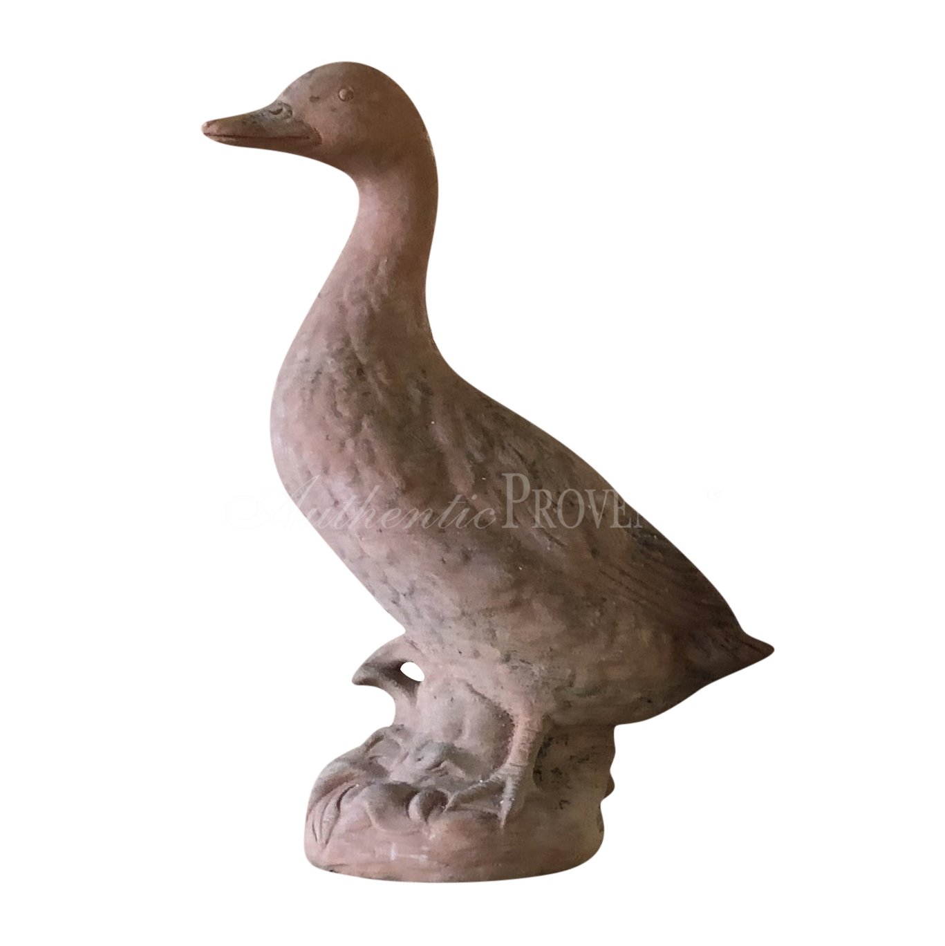 Large Anatra Toscana