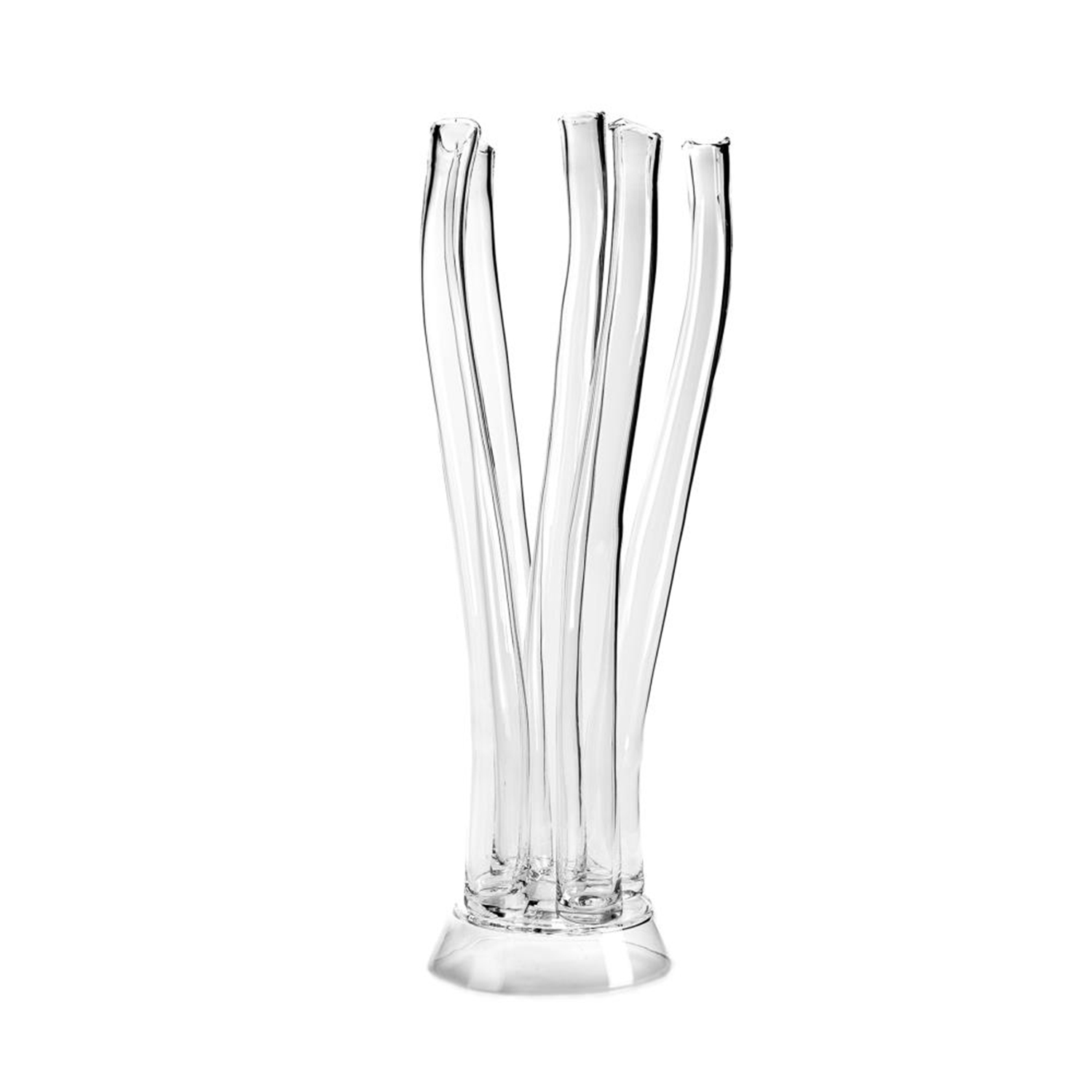 Glass Vase Freesia