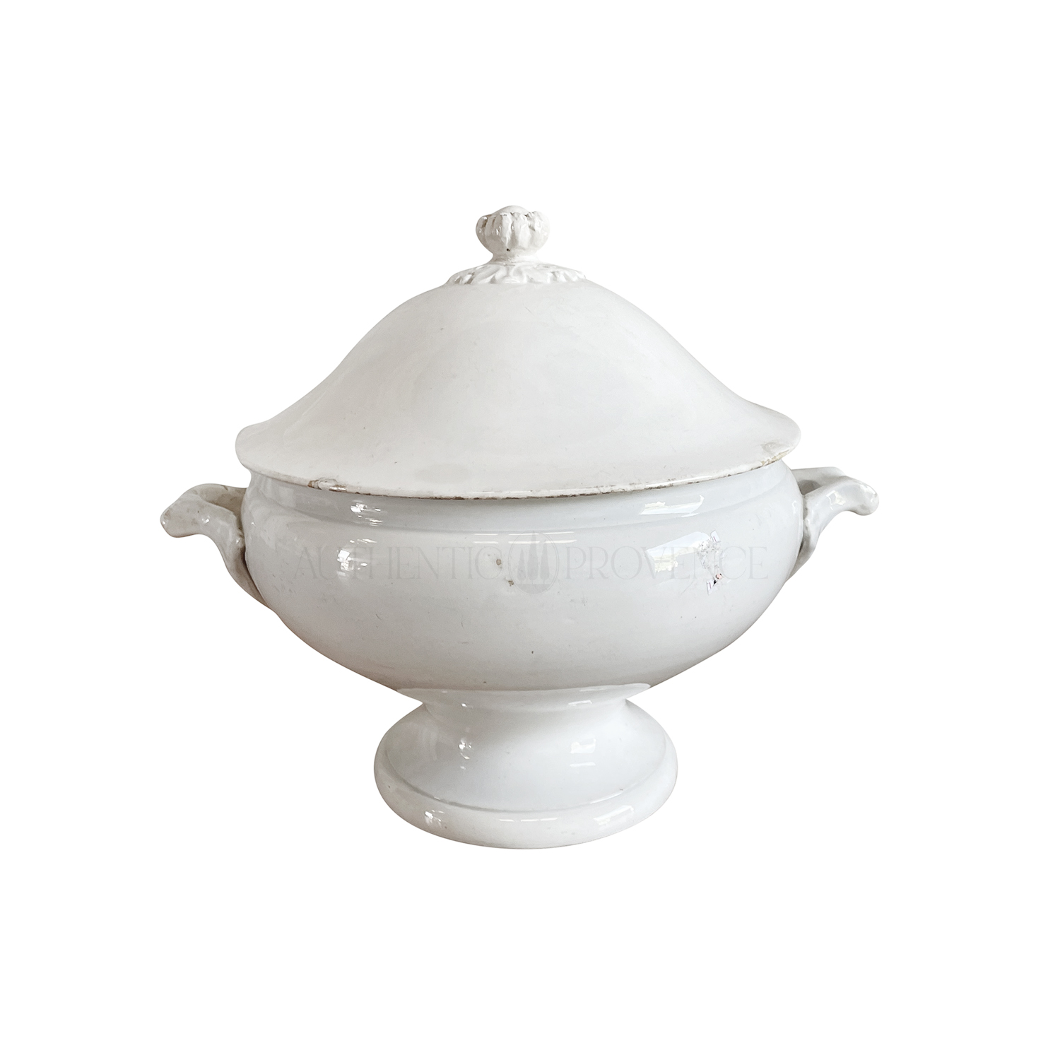 Terrine Physalis Pruinose 1800