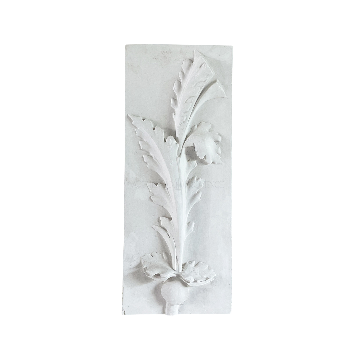20th Century French Vintage Wall Plaster Relief of a Botanical Study