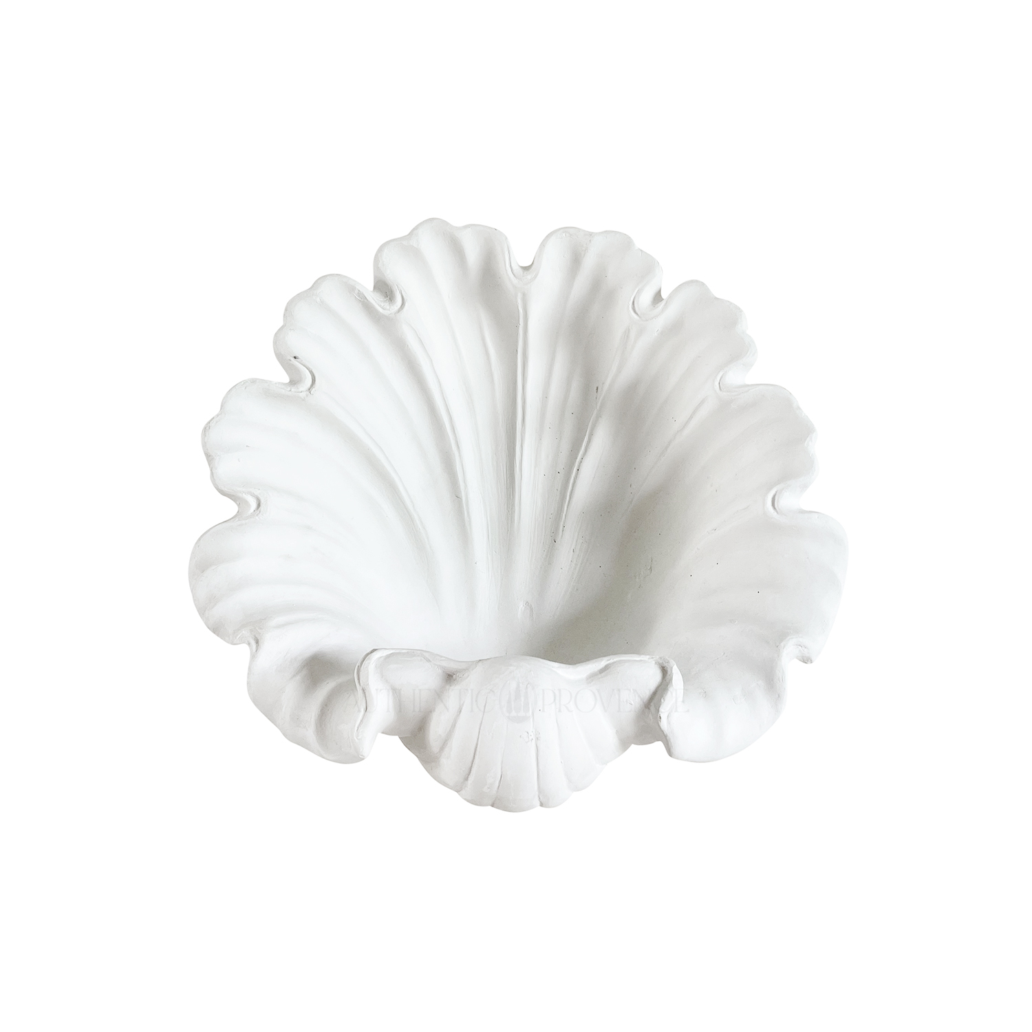 Coquille Wall Relief in Plaster