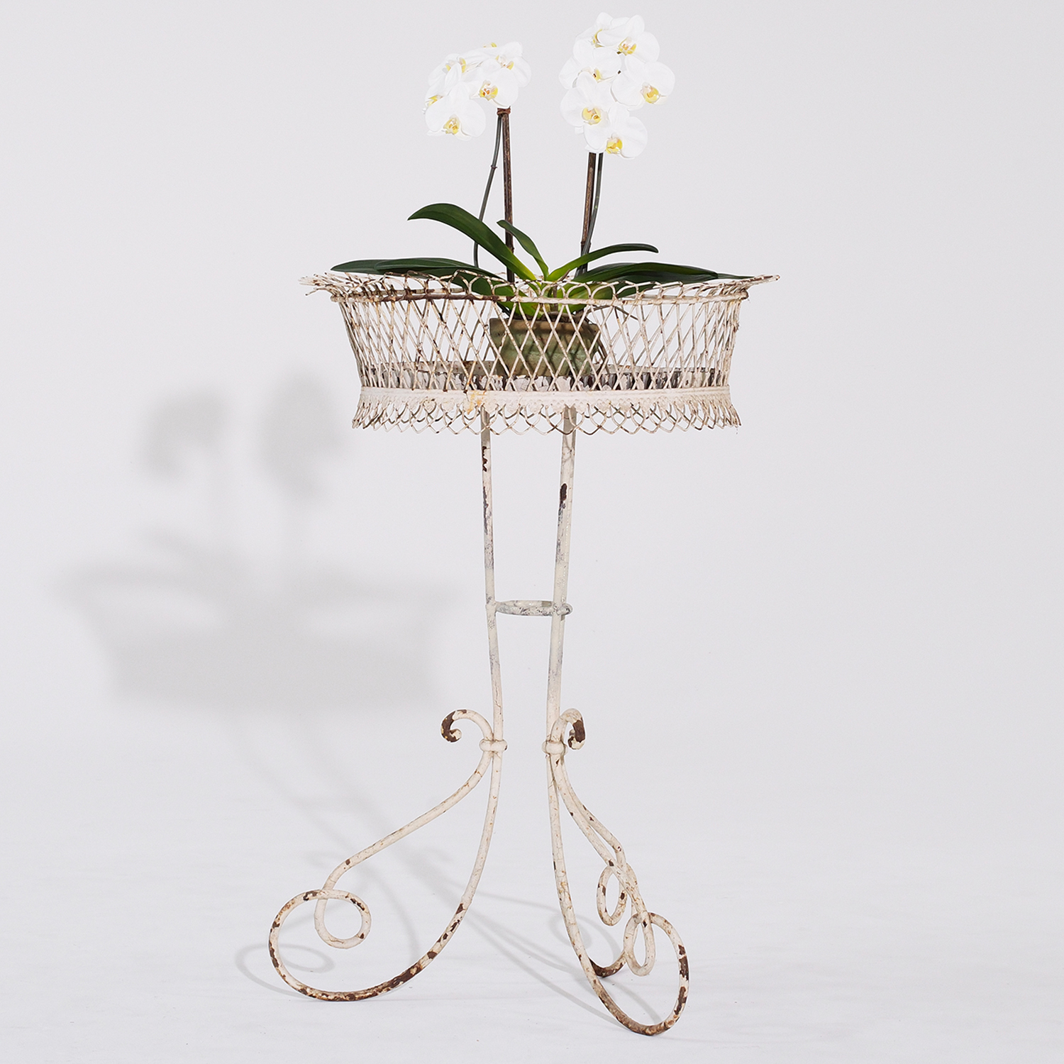 19th Century French White Painted Iron Standing Arras Jardinière – Antique Stand