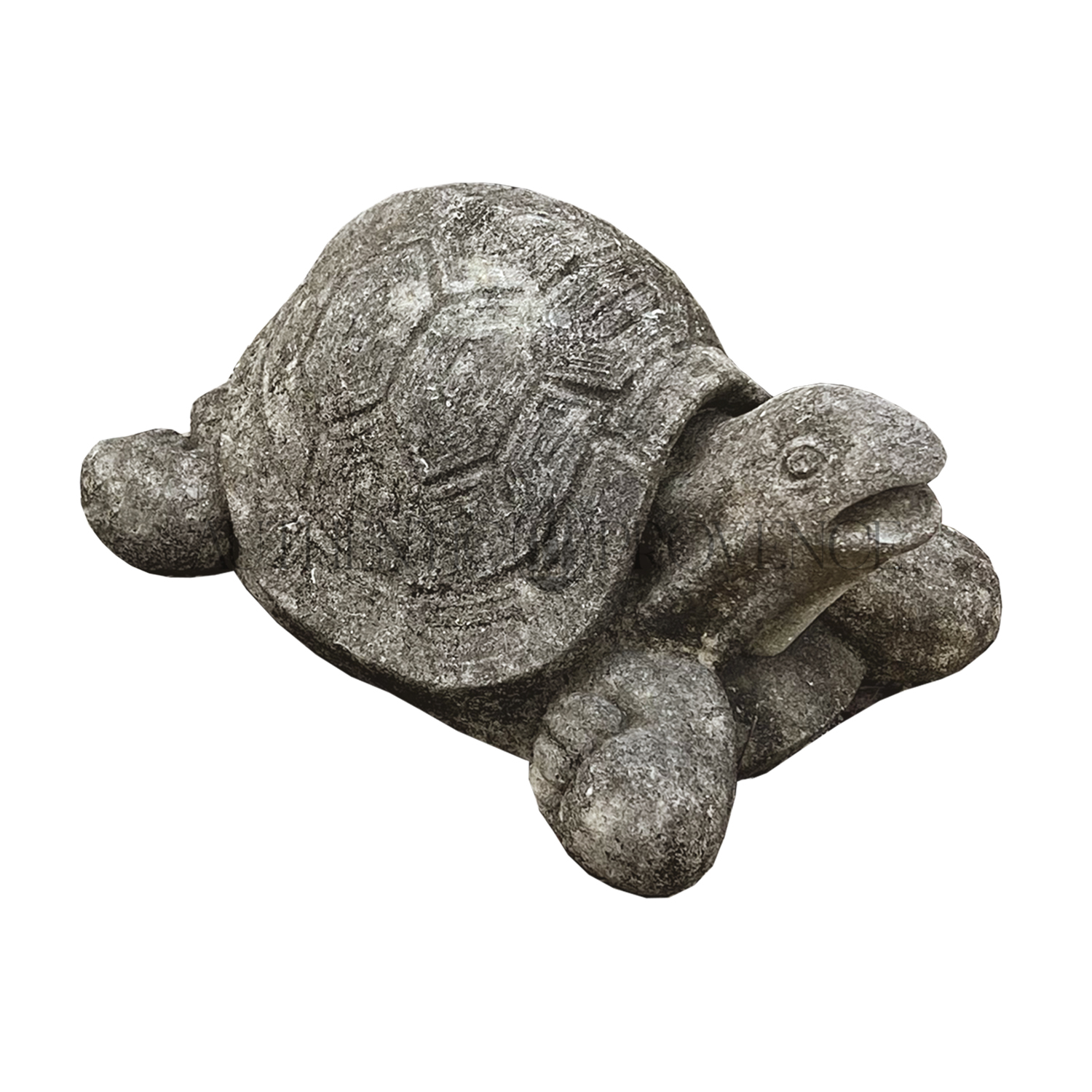 Land Turtle