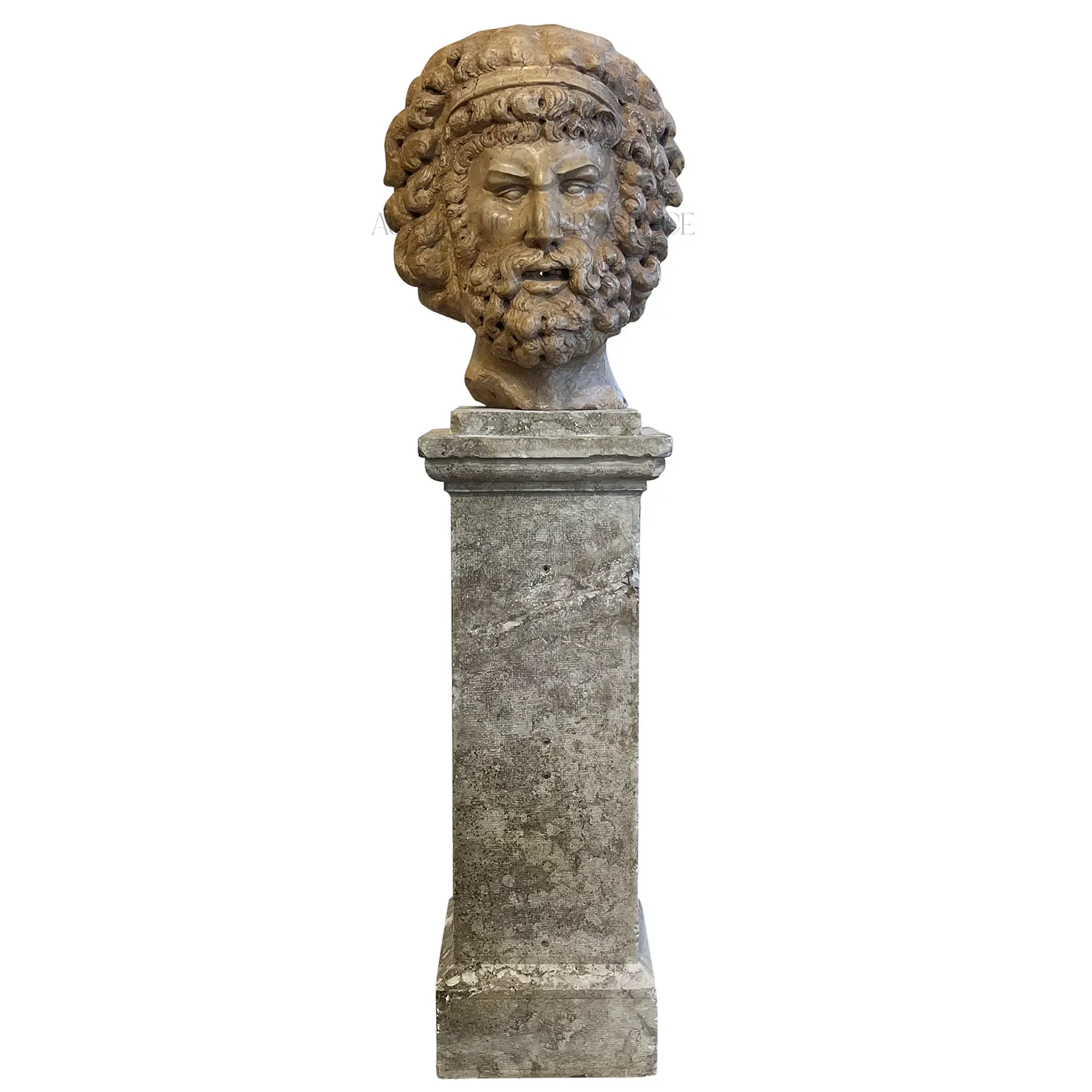 19th Century Italian Rosso Verona Marble Sculpture – Antique Head of Zeus