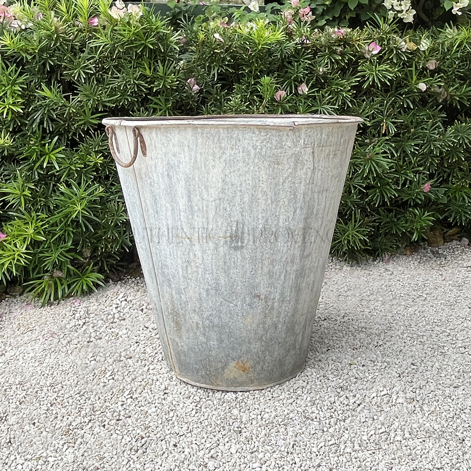 Water Bucket Quentin