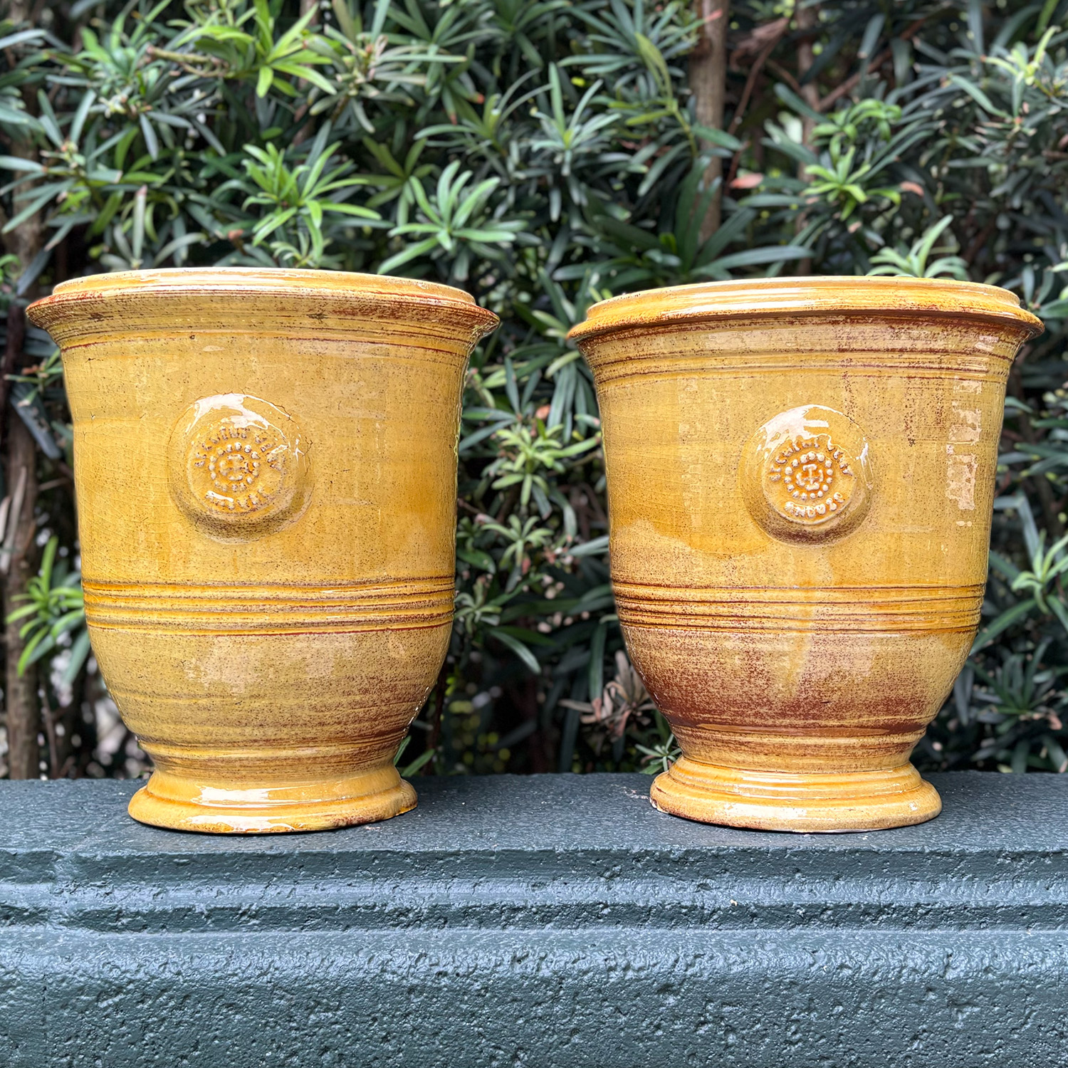 Small Pair of Honey Yellow Garden Anduze Planters from France