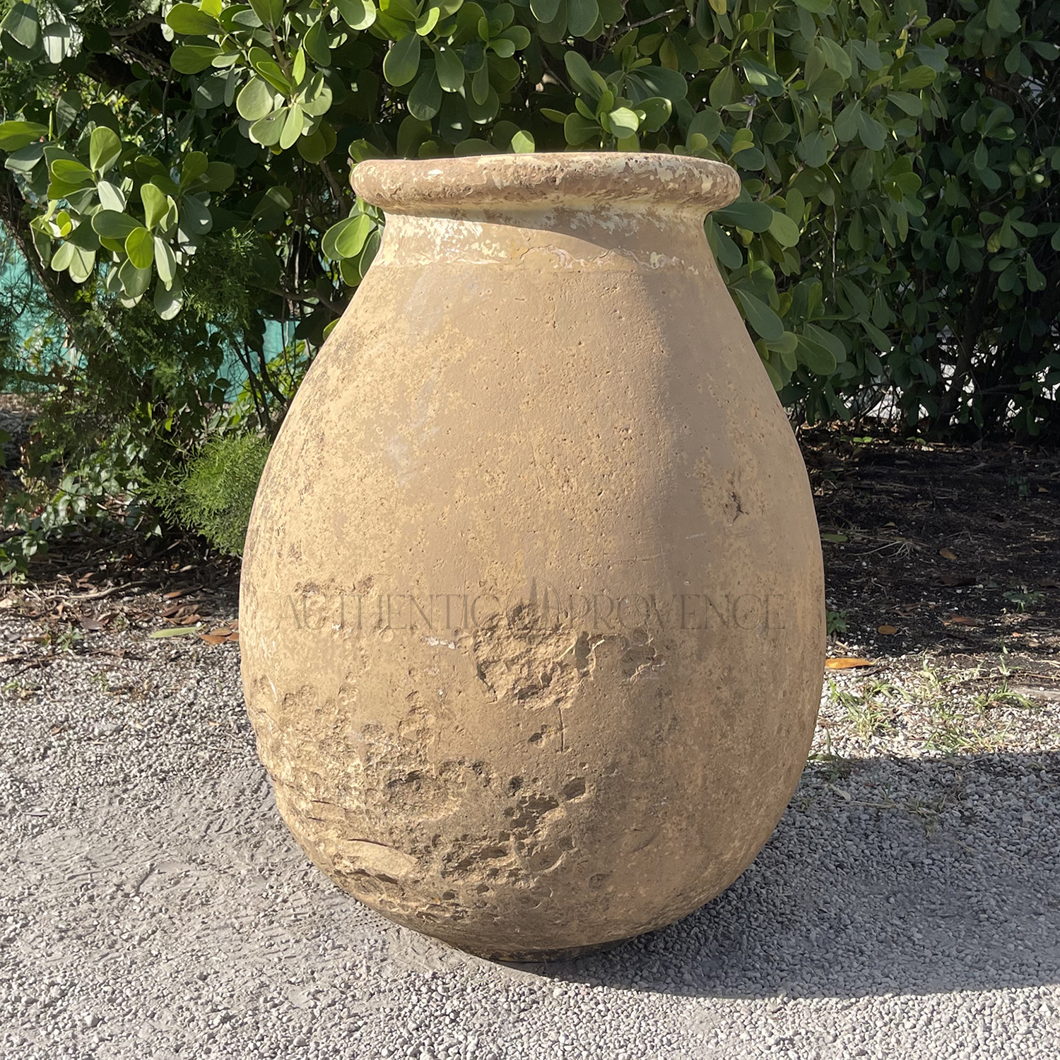 19th Century French Biot Jar
