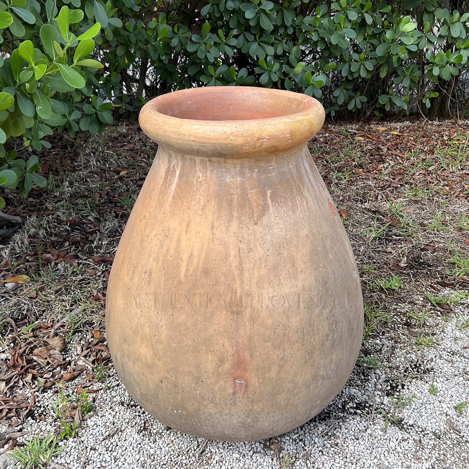 Large Biot Jar 19th Century