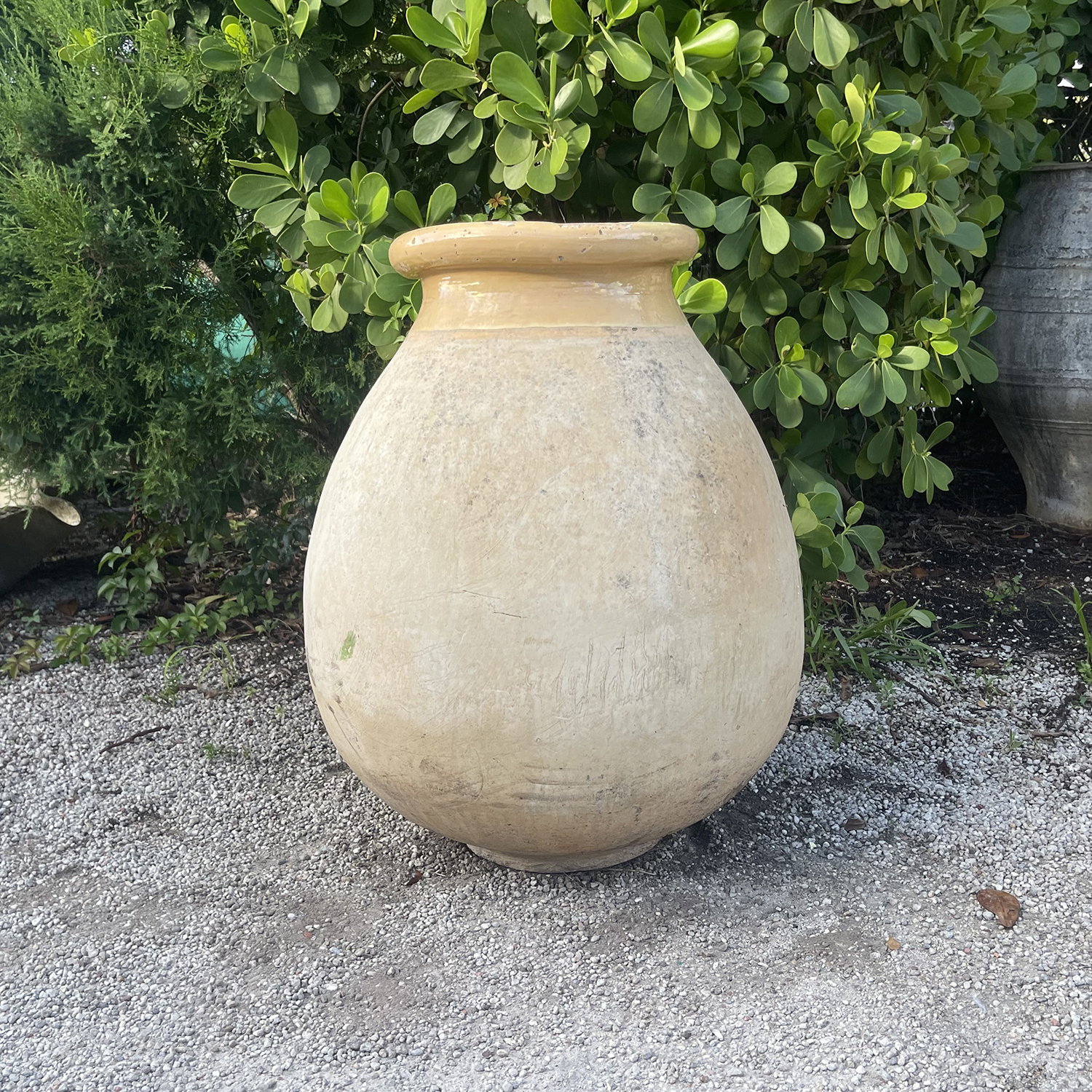 19th Century French Biot Olive Jar in Earthenware from Provence