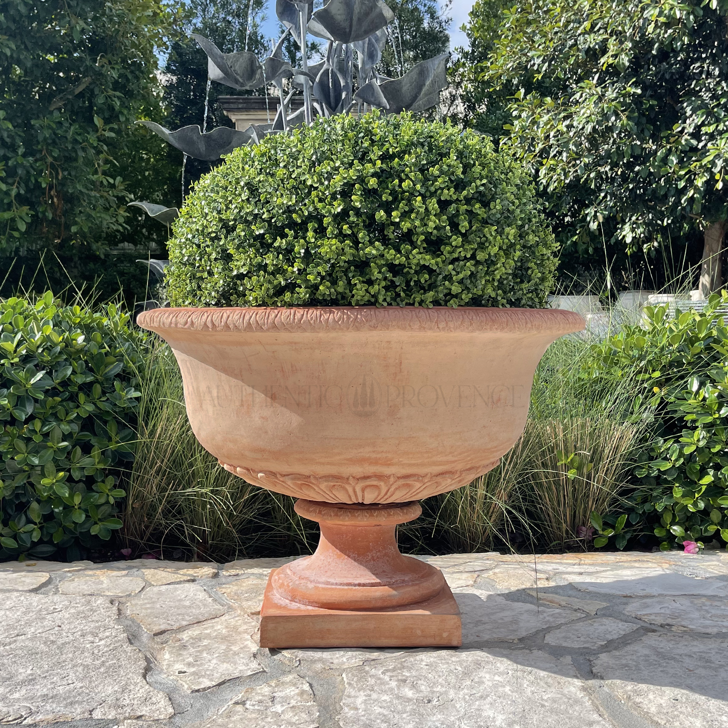 Pair of Terra Cotta Tazza Planters Montalcino