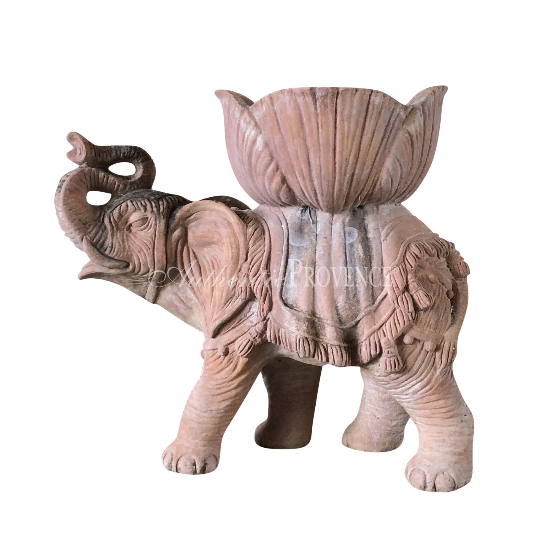 Elefante Colodi