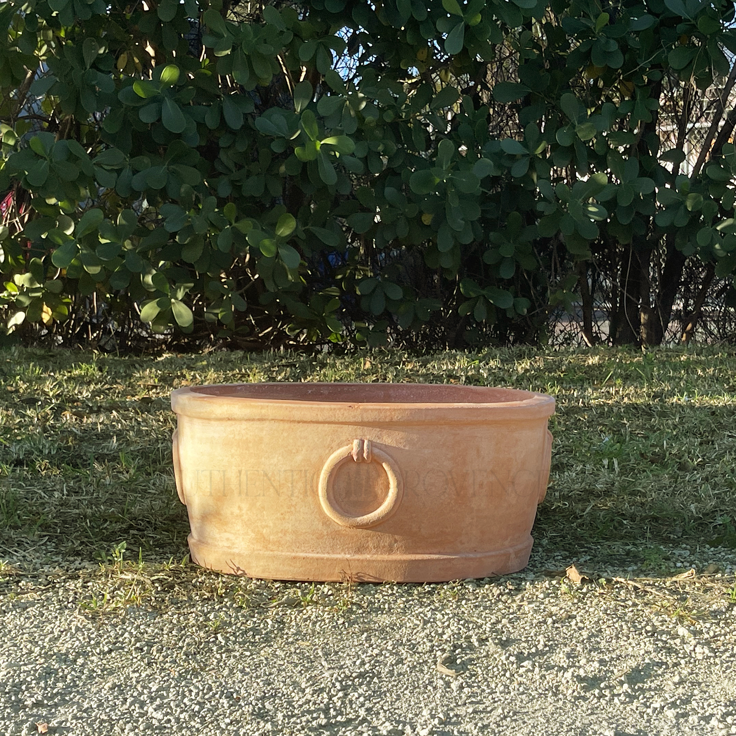 Tuscan Oval Garden Tub with Rings