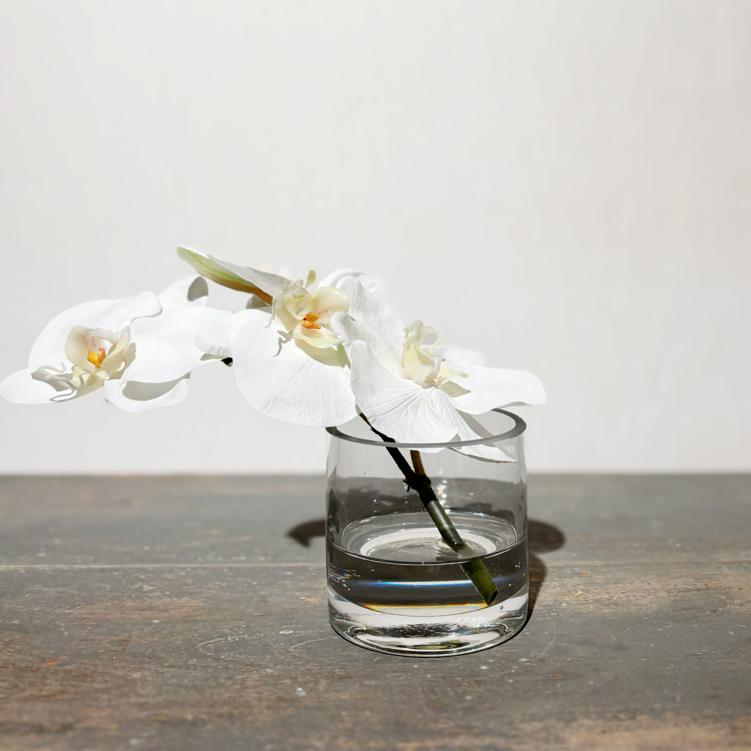 Phalaenopsis Orchid in Glass