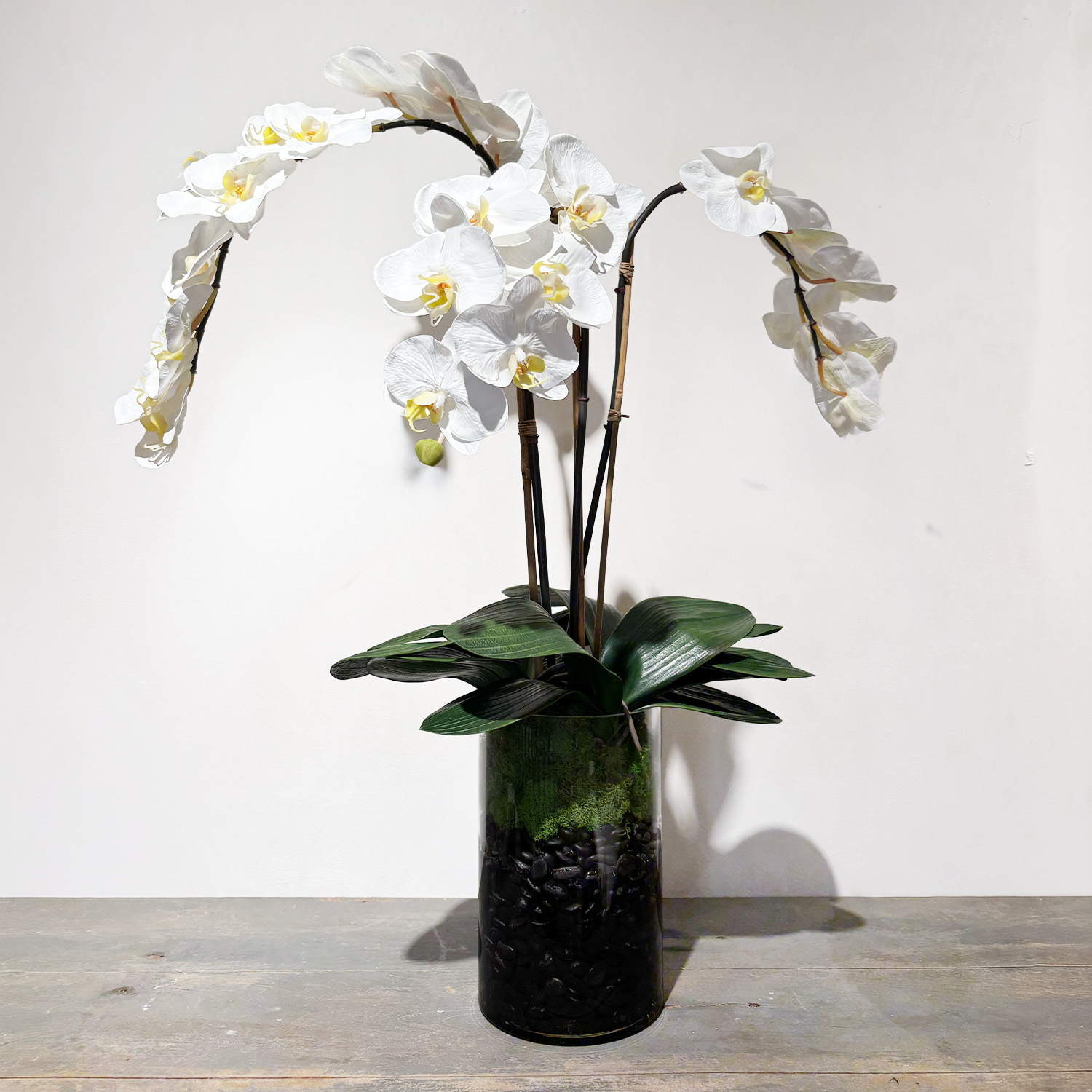 Phalaenopsis Orchid in Glass – Three Strands