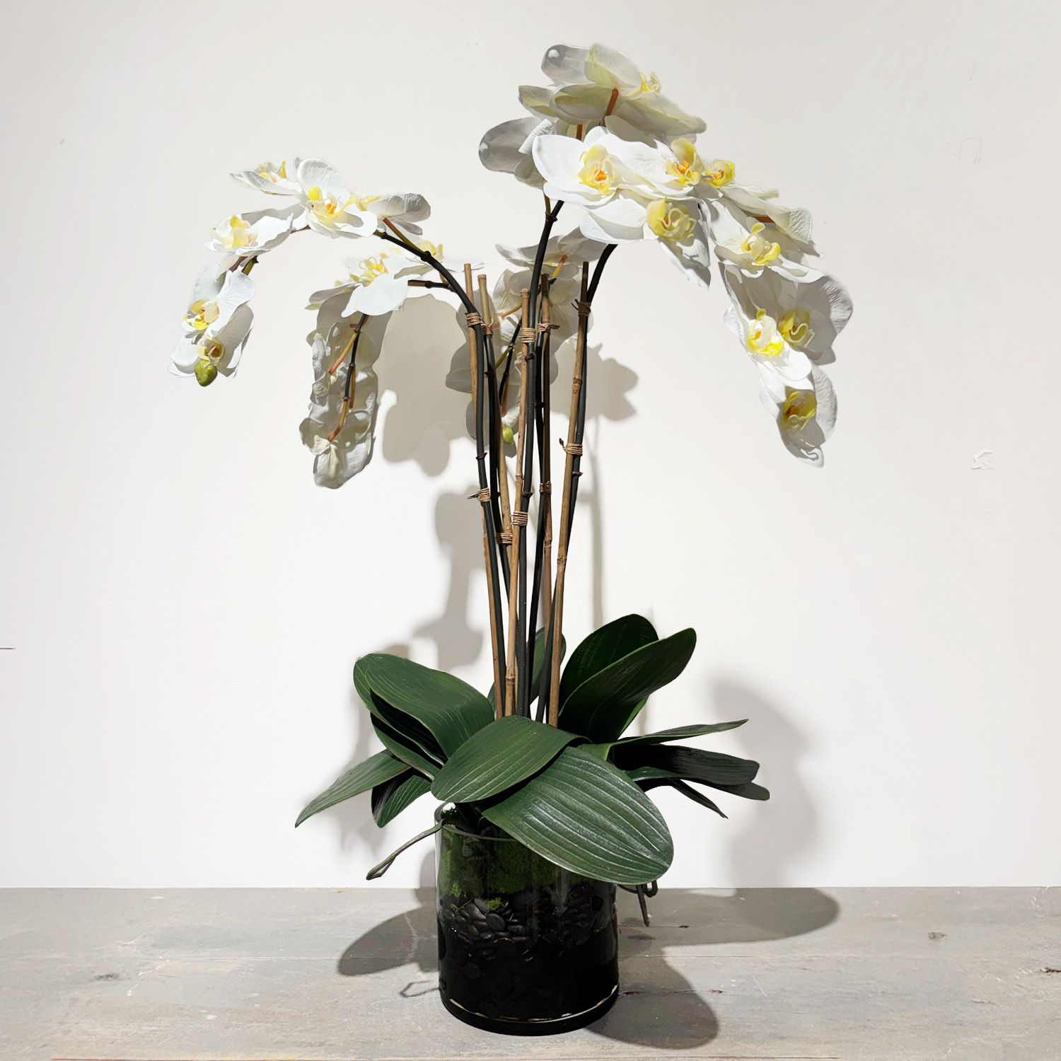 Phalaenopsis Orchid in Glass – Four Strands