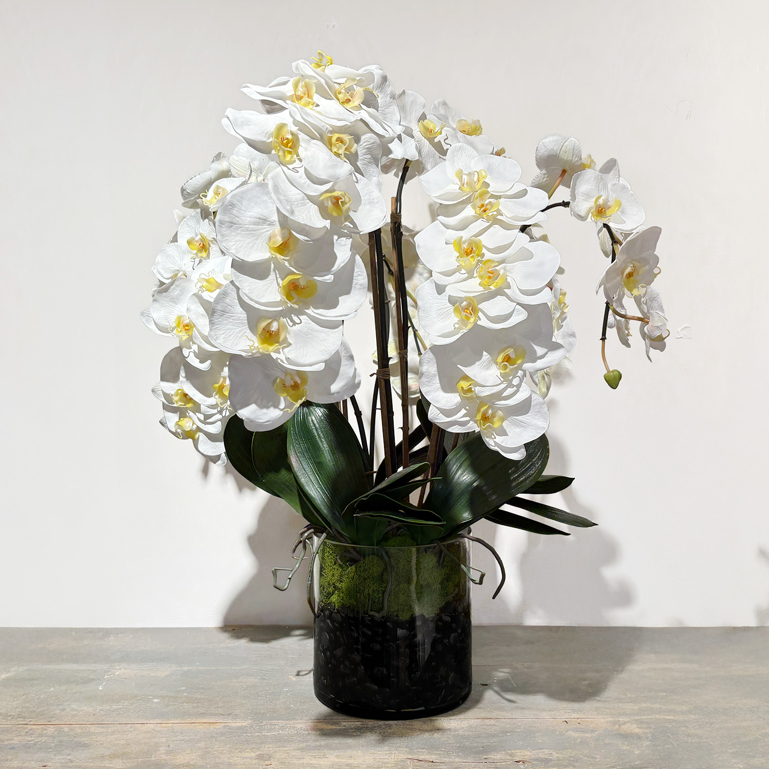 Phalaenopsis Orchid Bush – Oversized Glass Vase