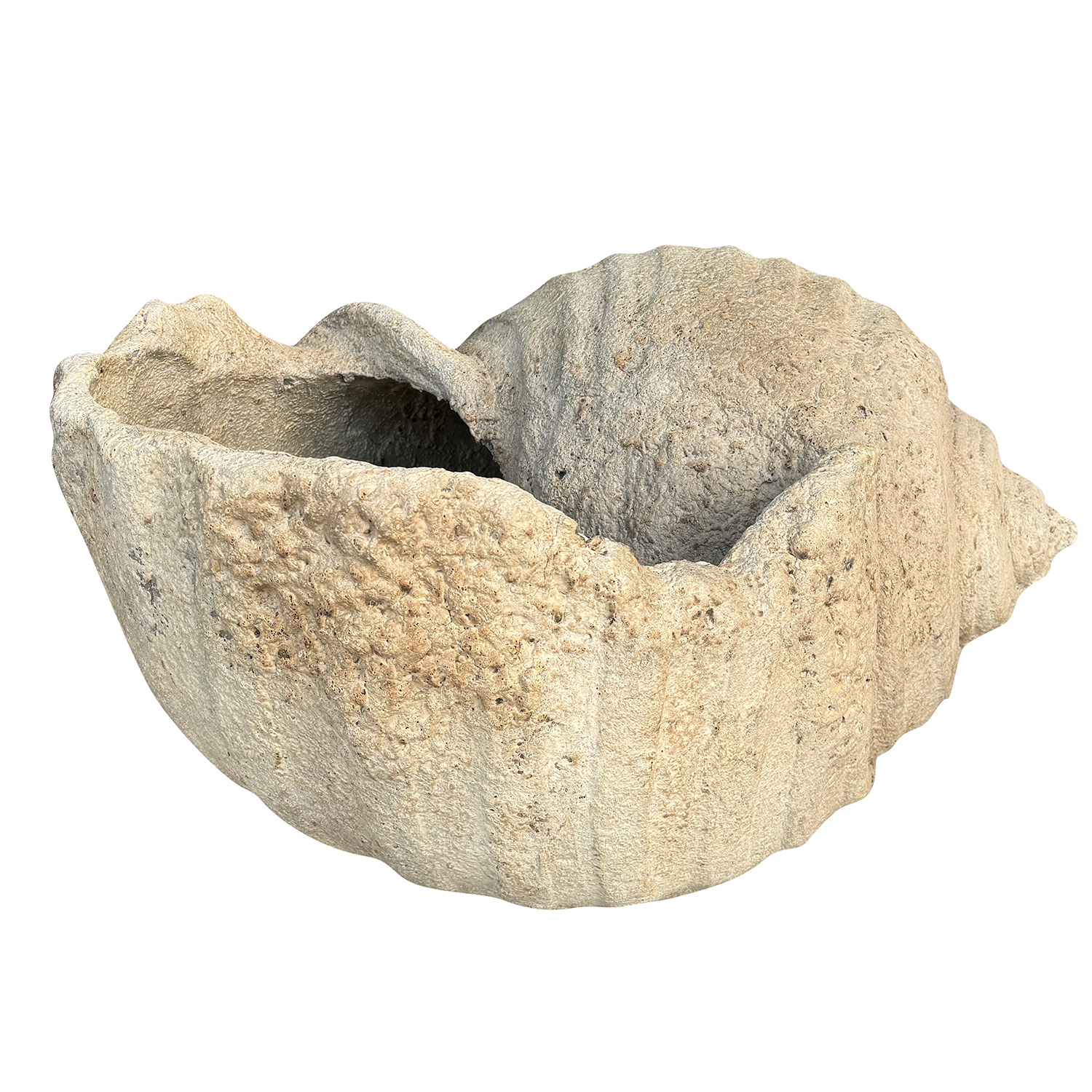 Large Shell Garden Planter Nizza in Composite