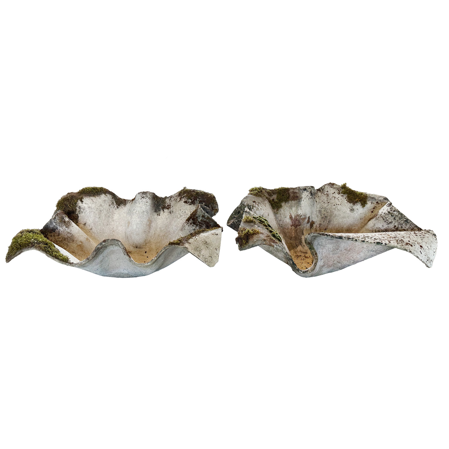 20th Century Swiss Pair of Vintage Elephant Ear Planters by Willy Guhl & Eternit