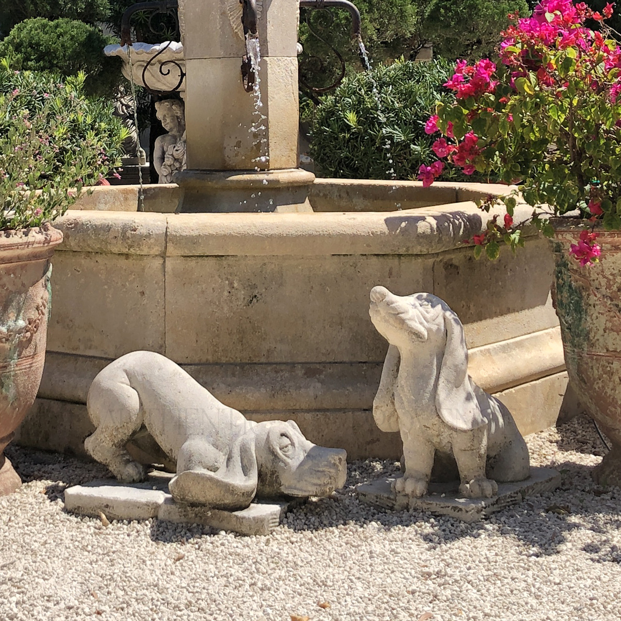 Pair of Basset Hound Dogs