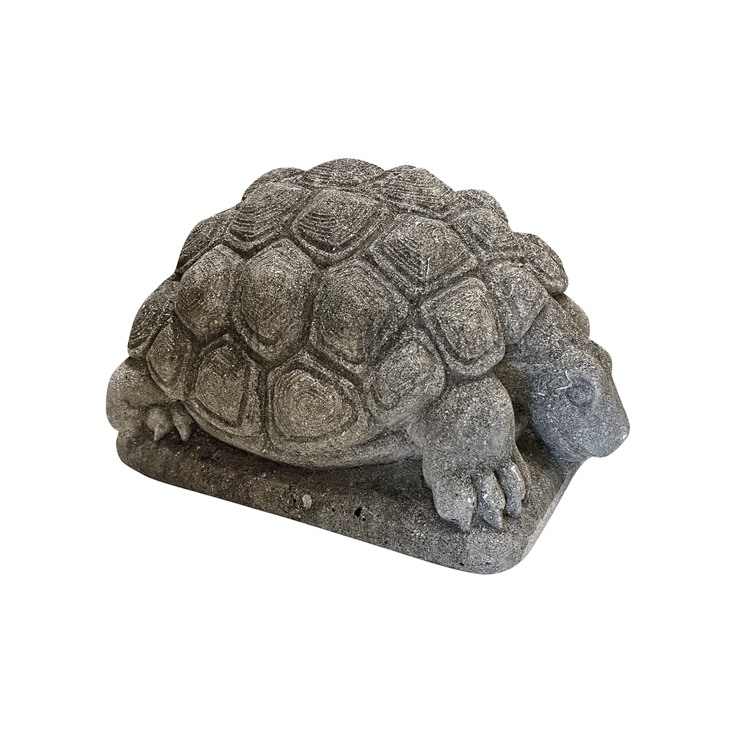 Limestone Turtle