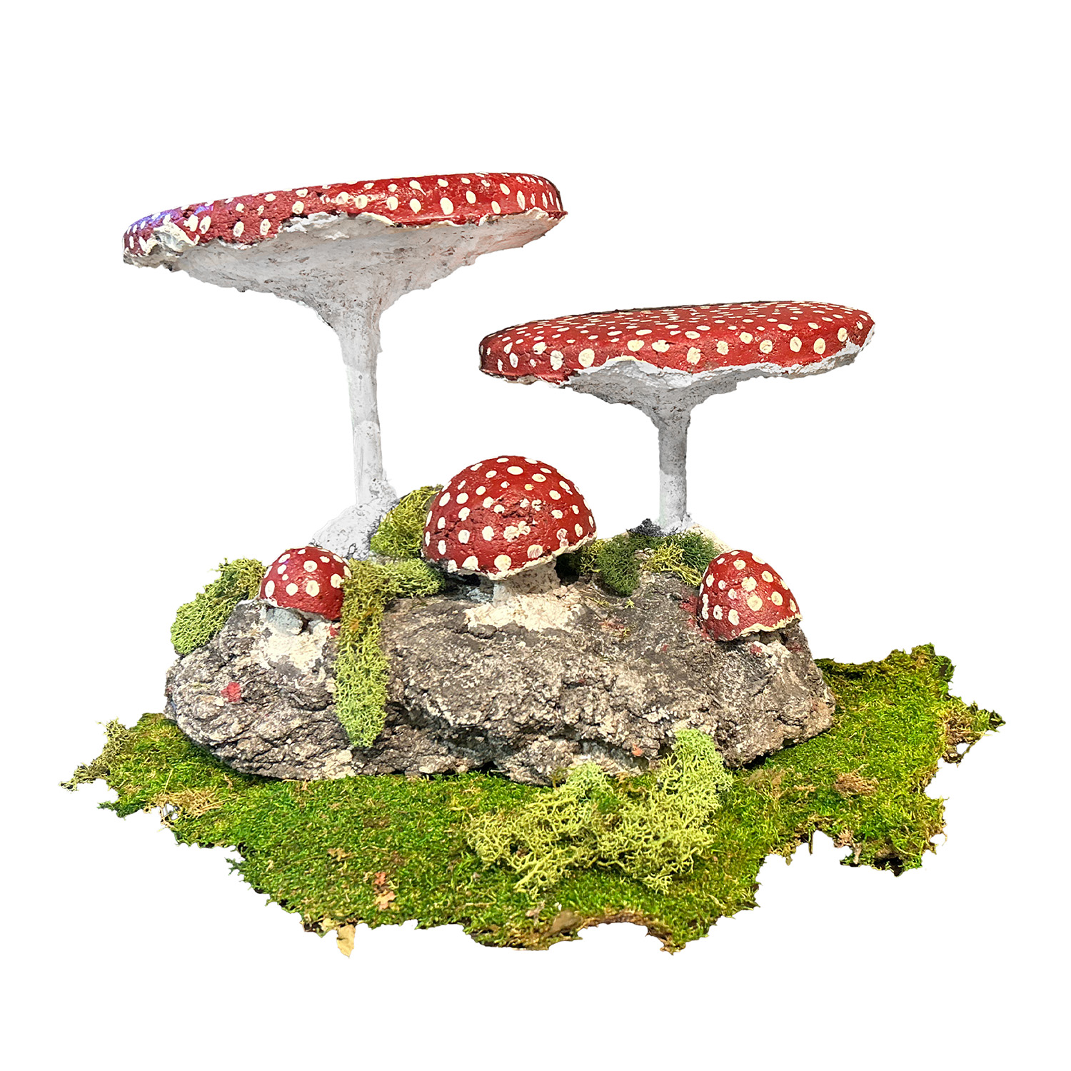 French Garden Mushrooms