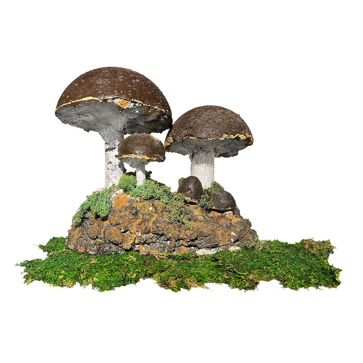 French Garden Mushrooms