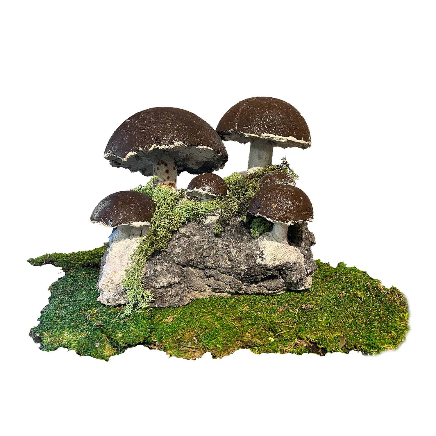 French Garden Mushrooms