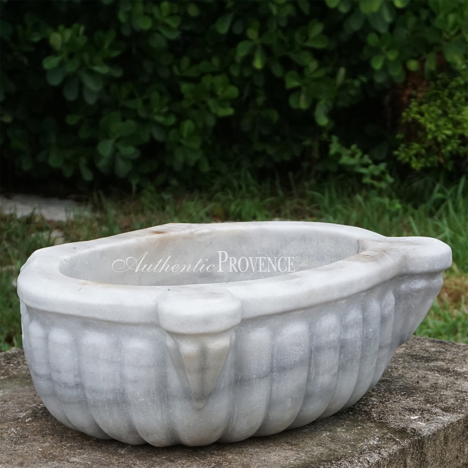 Authentic Provence