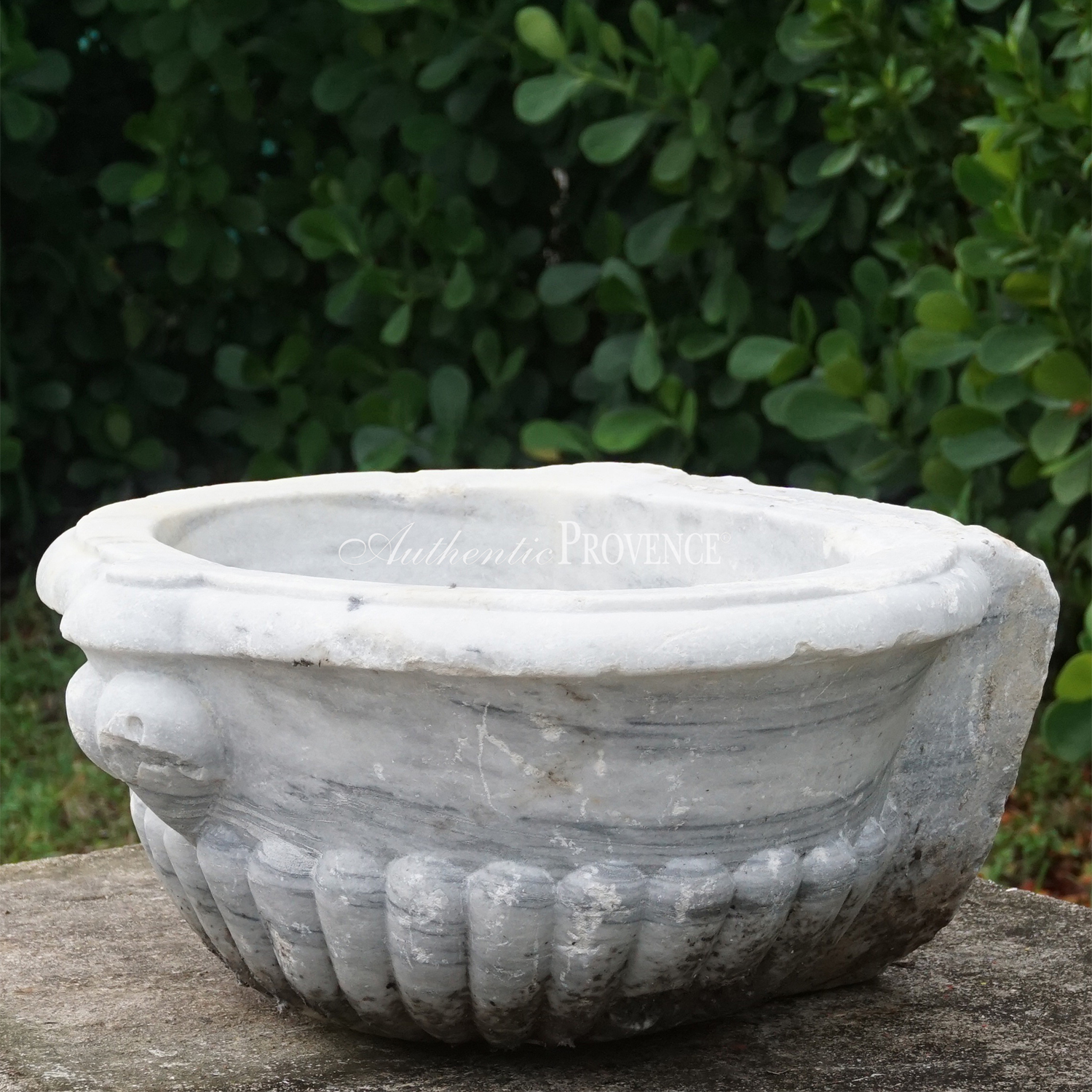 Authentic Provence