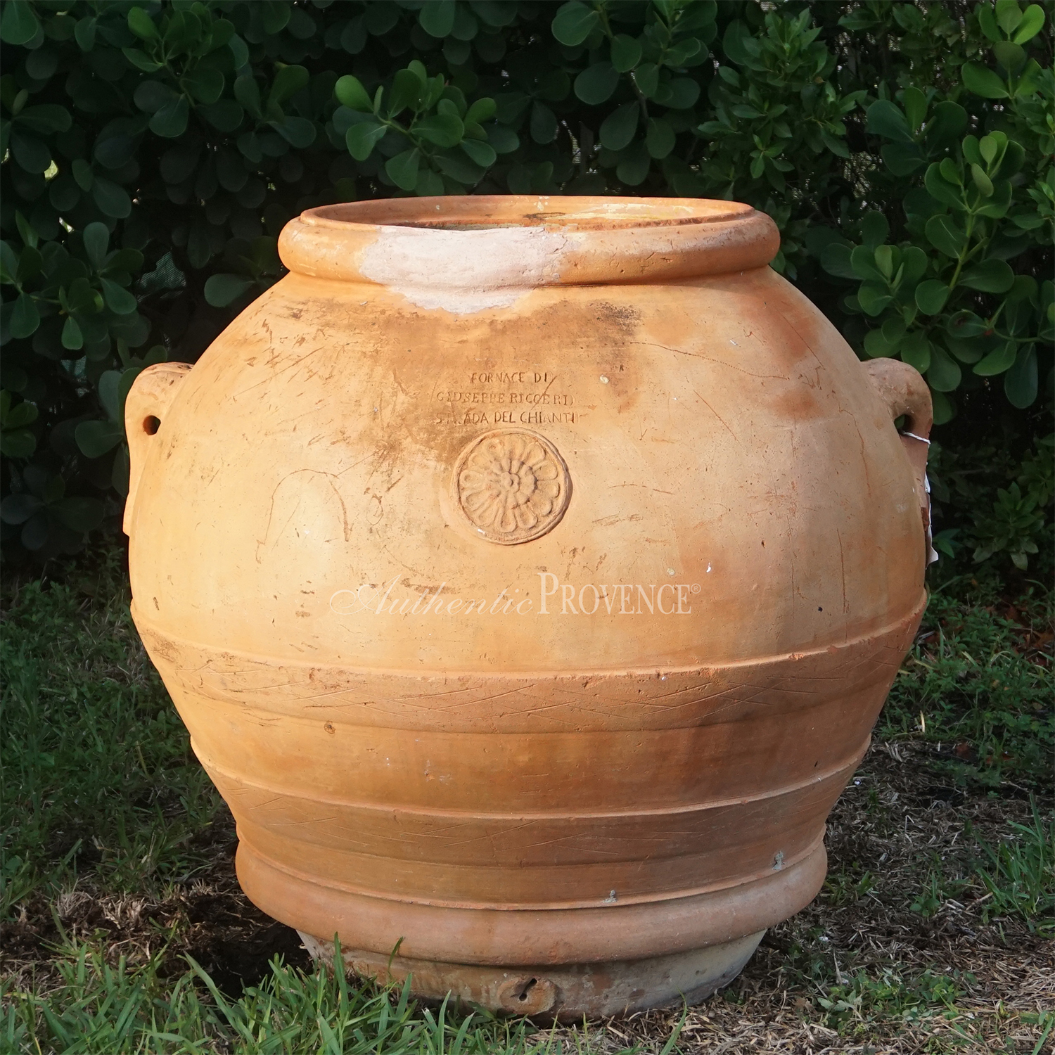 Orcio Urn