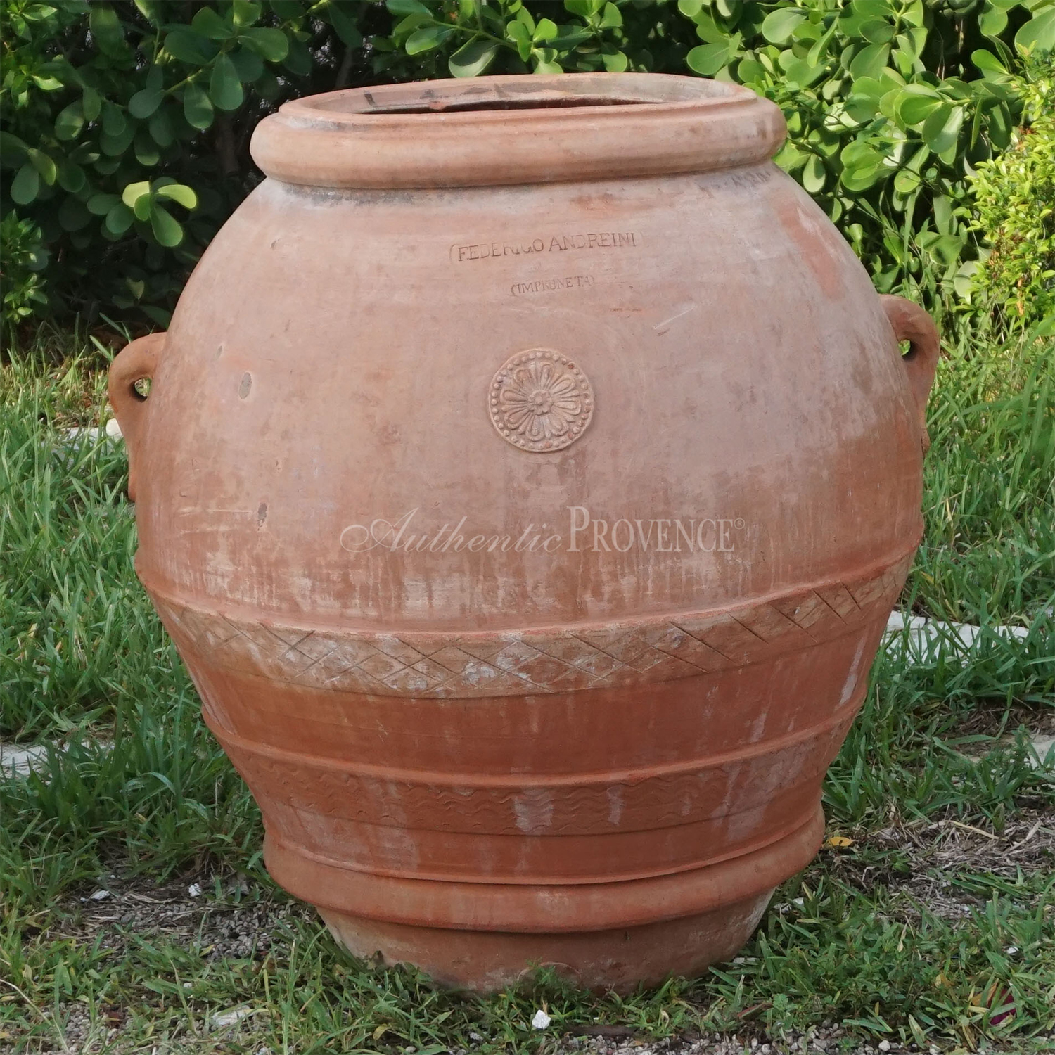 Cecina Jar