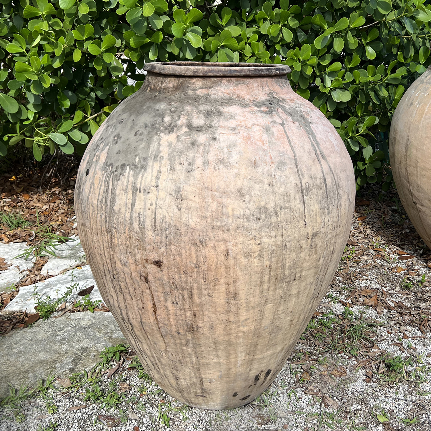 Vintage Italian Terra Cotta Jar Trapani