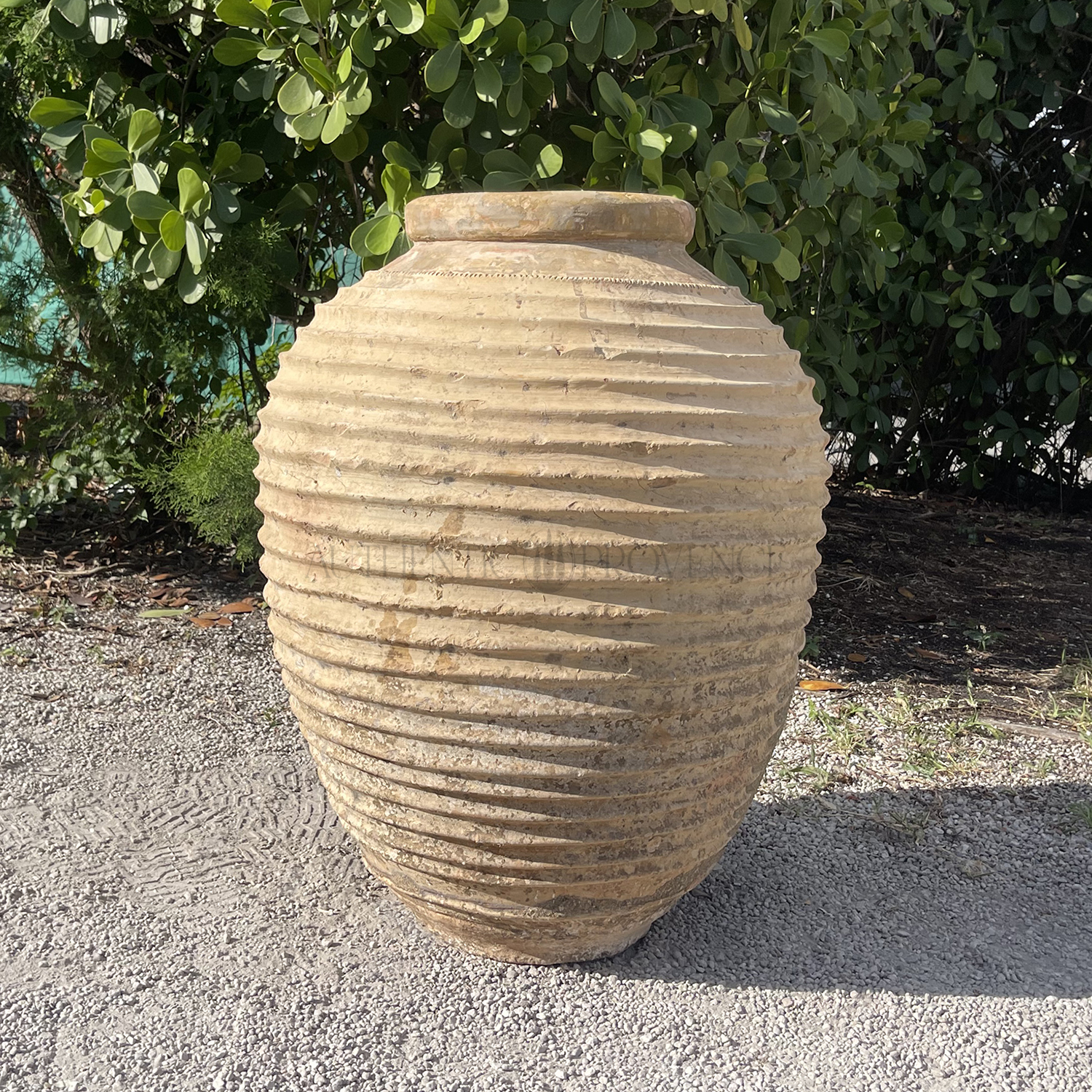 Mediterranean Olive Jar 19th Century