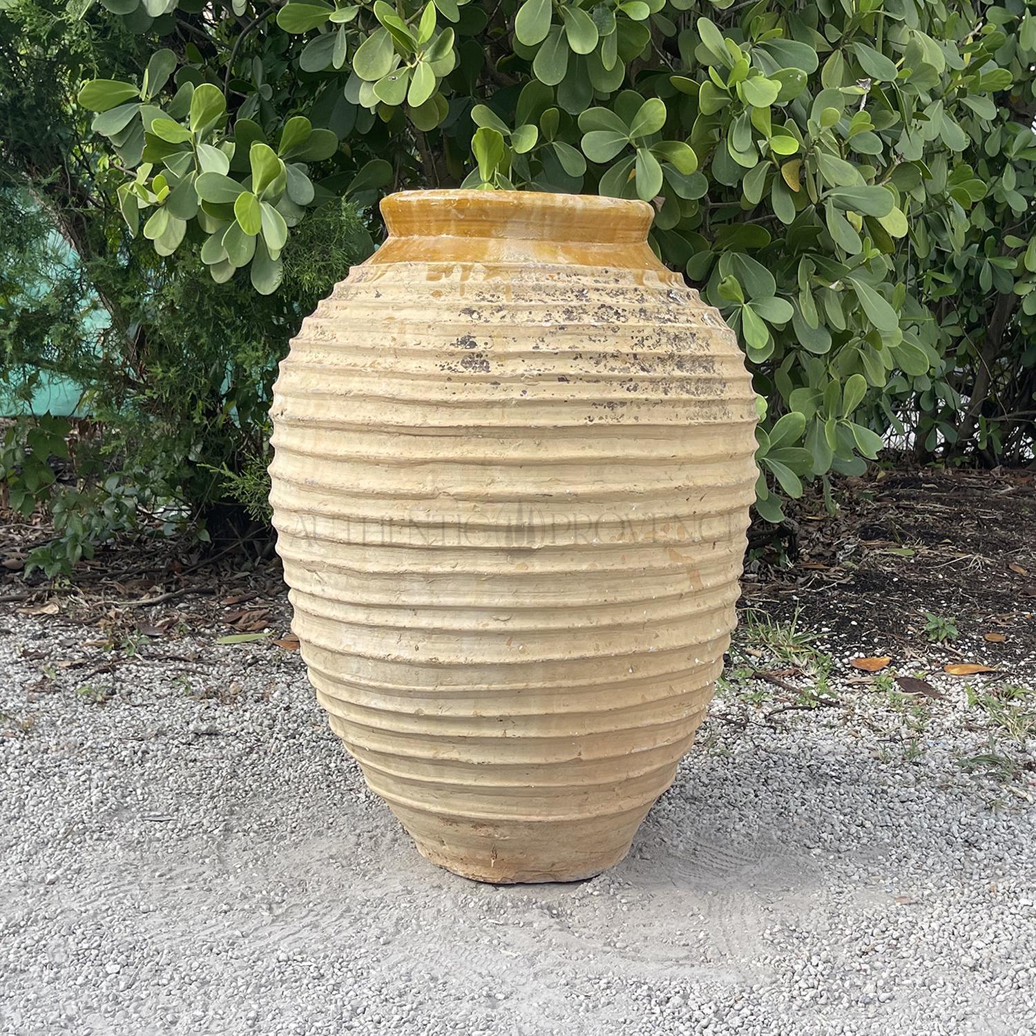 Antique Greek Peloponnese Olive Oil Jar