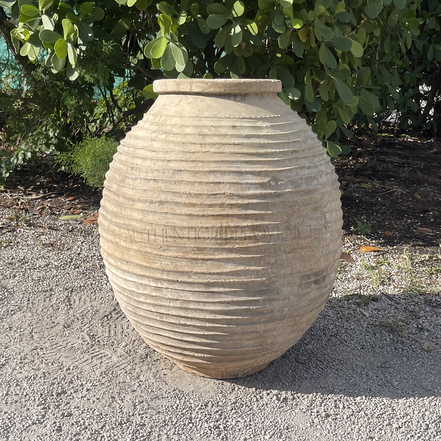 Antique Olive Oil Jar from Greece