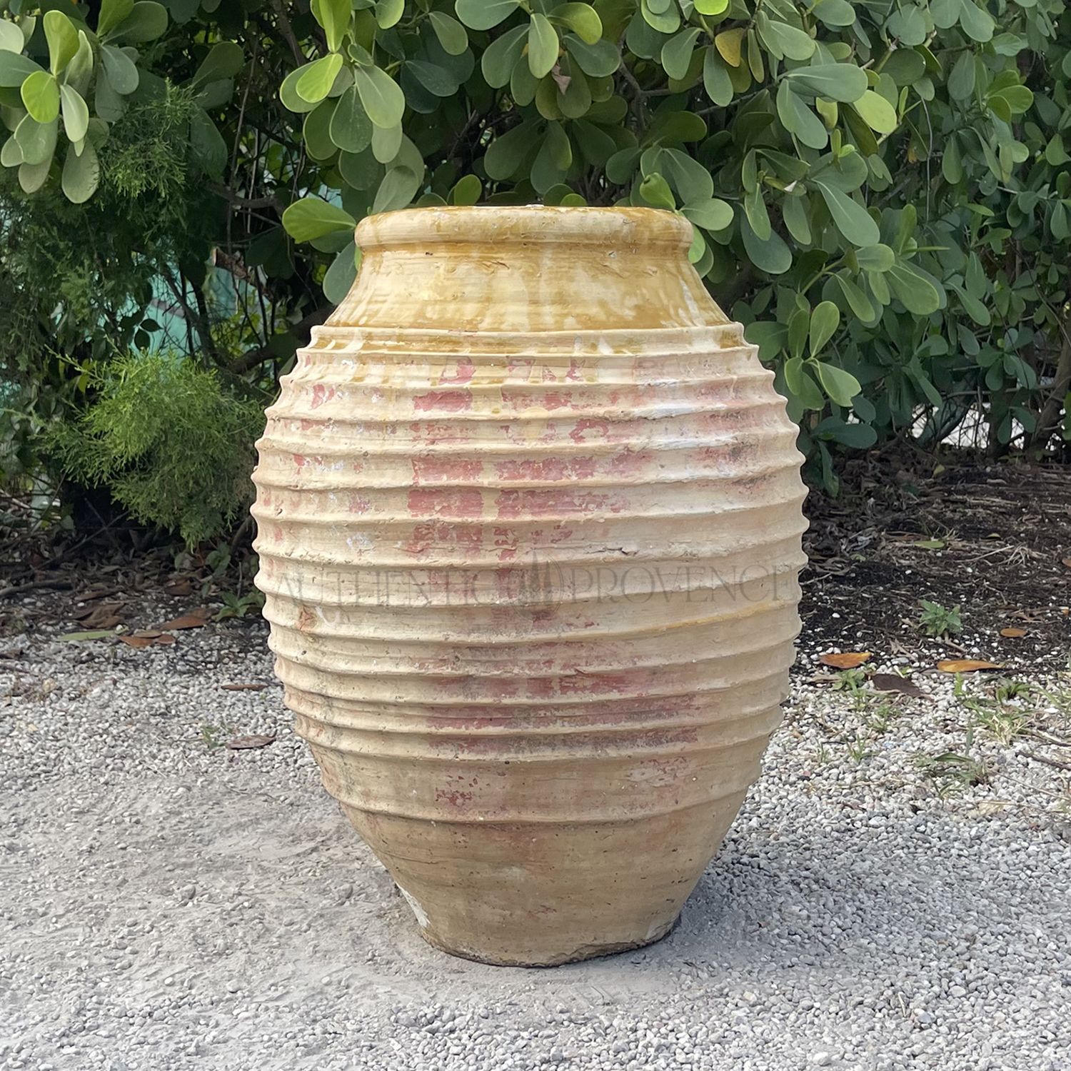 19th Century Greek Ribbed Olive Jar