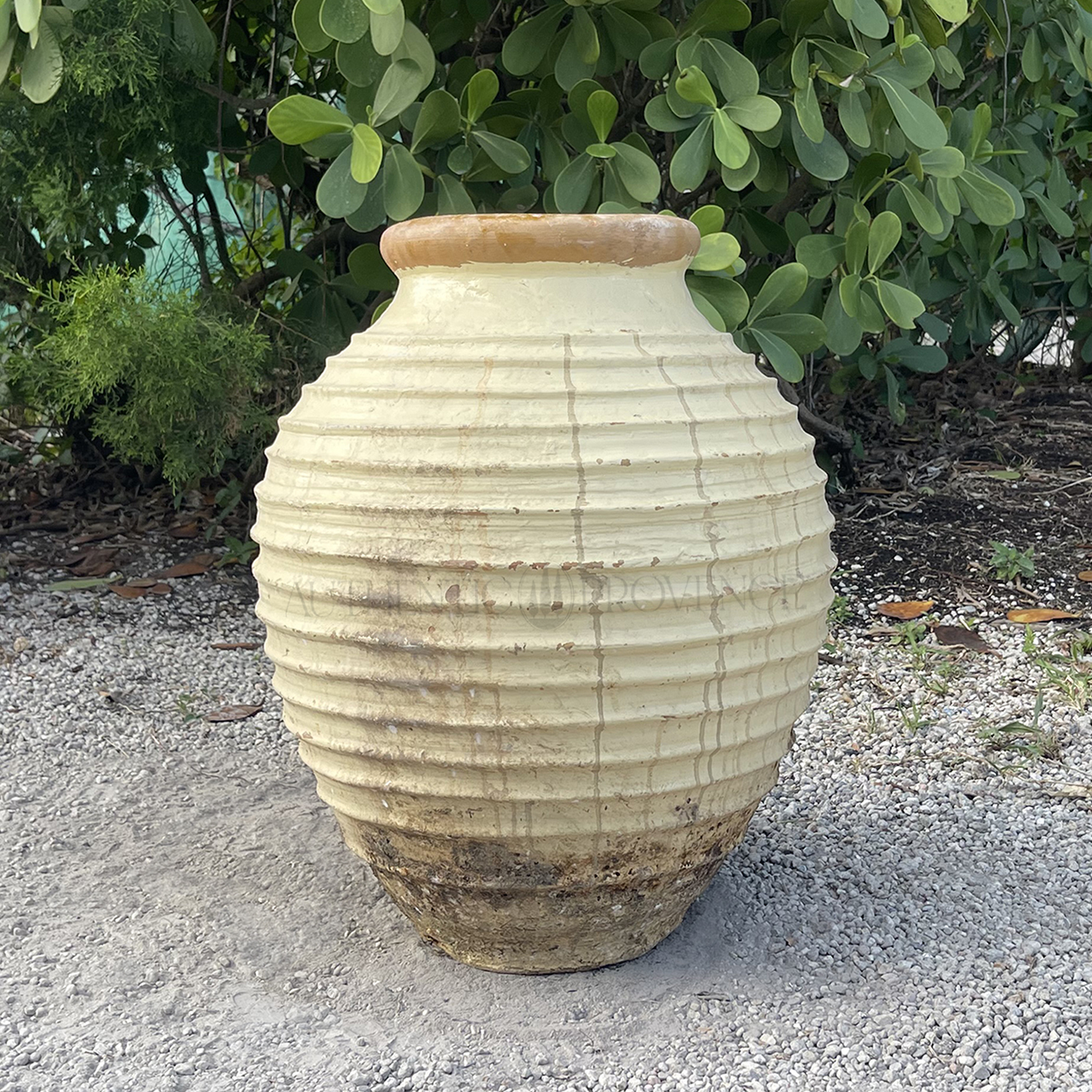 19th Century Terracotta Olive Jar from Greece