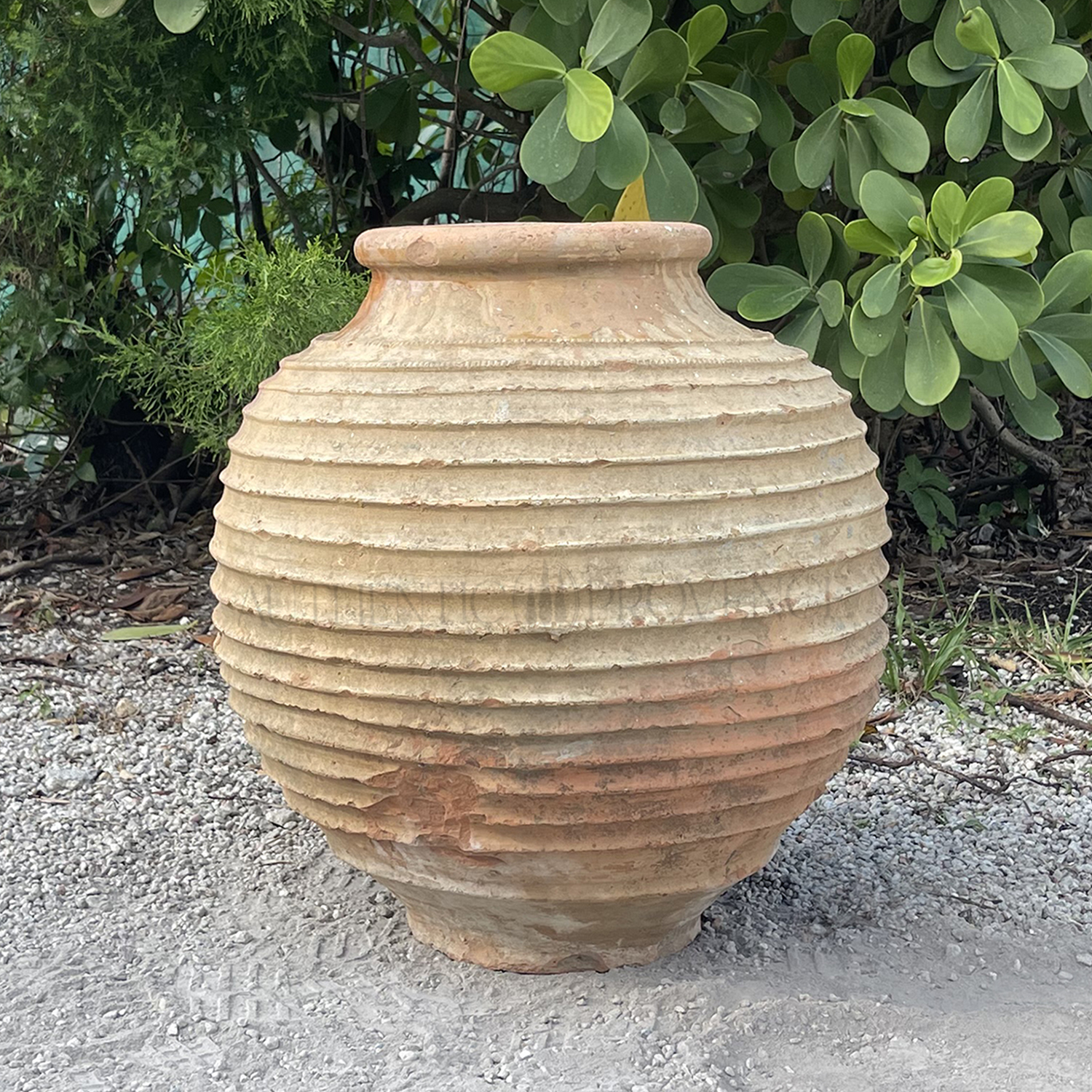 Antique Greek Terracotta Olive Jar
