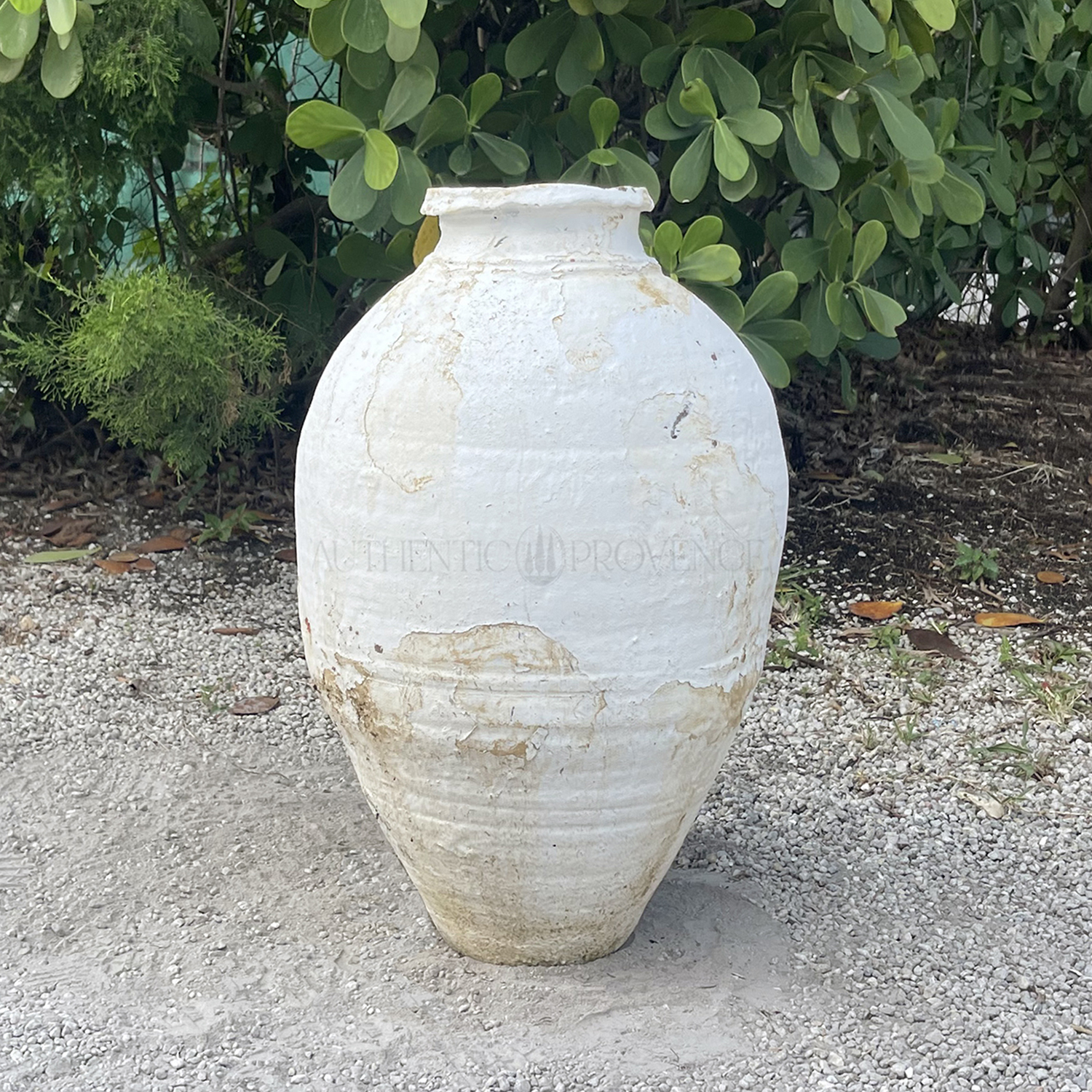 Antique White Washed Terracotta Garden Jar