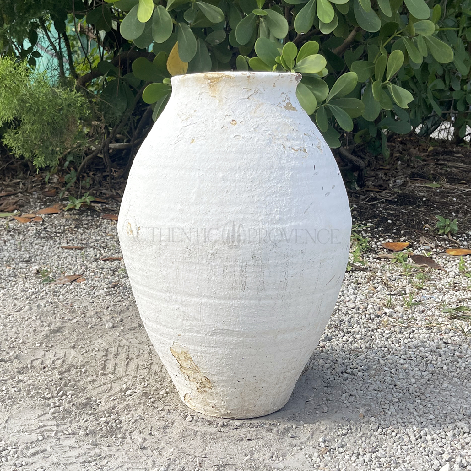 Small Antique Greek Terra Cotta Urn