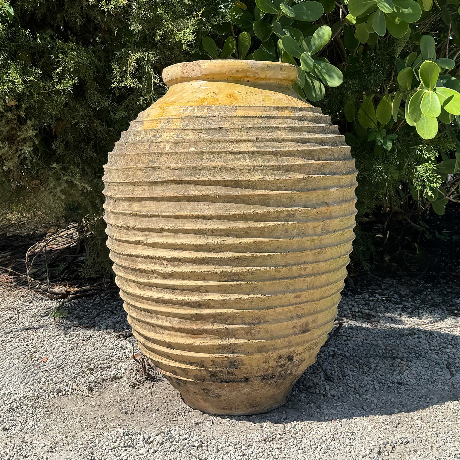 Antique Greek Ribbed Terracotta Olive Jar