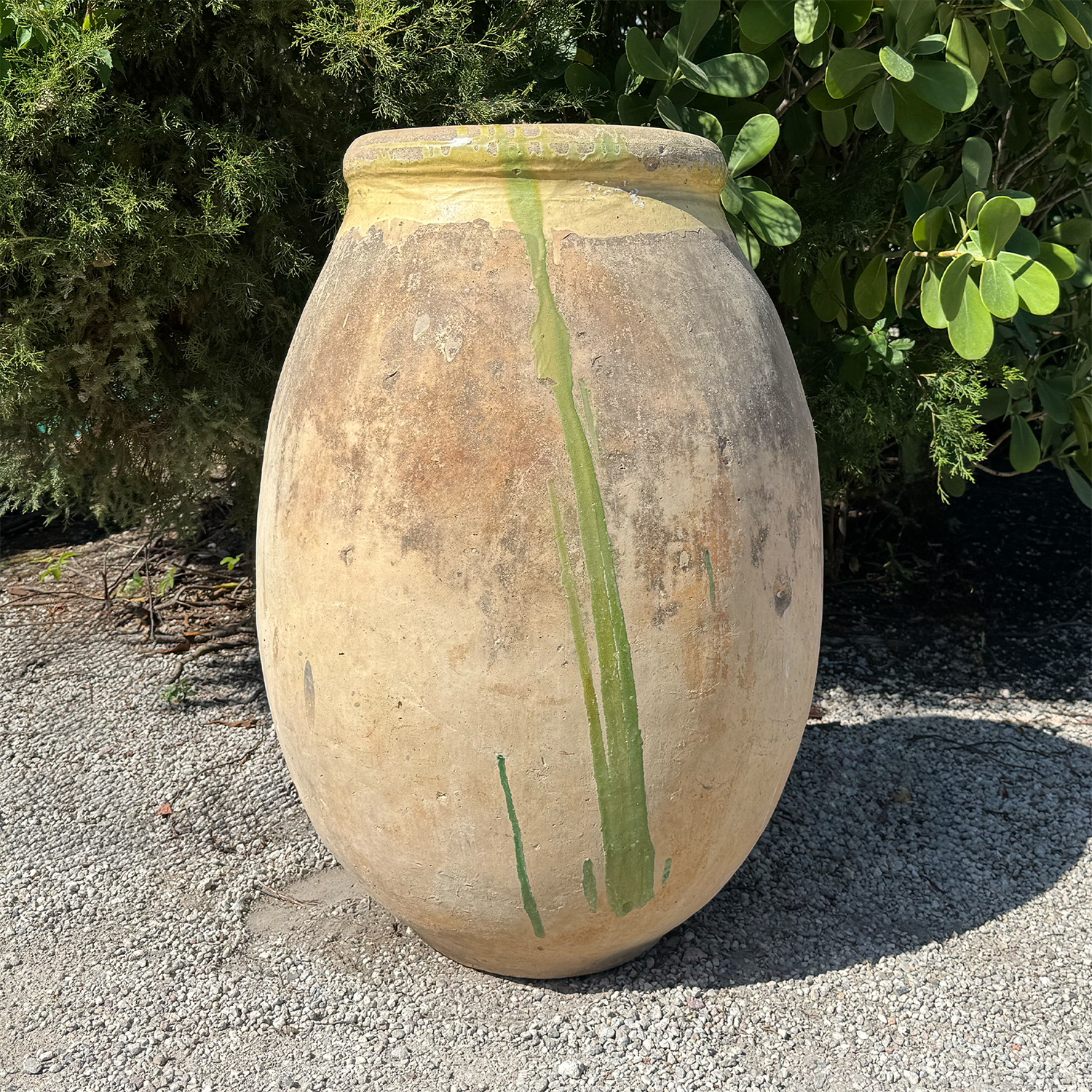 Monumental French Biot Olive Jar in Terracotta