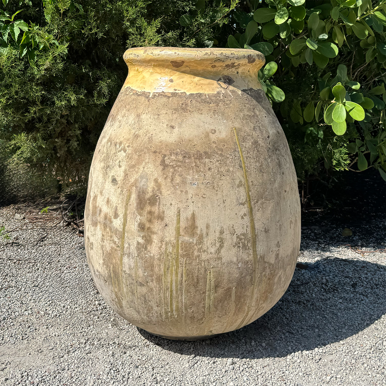 Monumental Ligurian Olive Jar