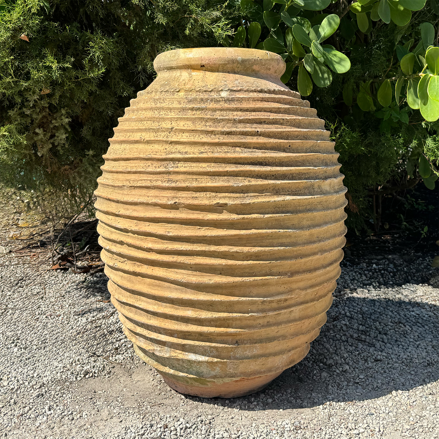 Antique Greek Nekuma Olive Jar in Terracotta