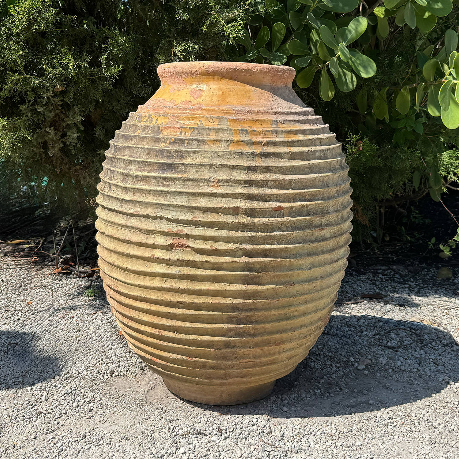 Antique Greek Ribbed Terracotta Olive Jar