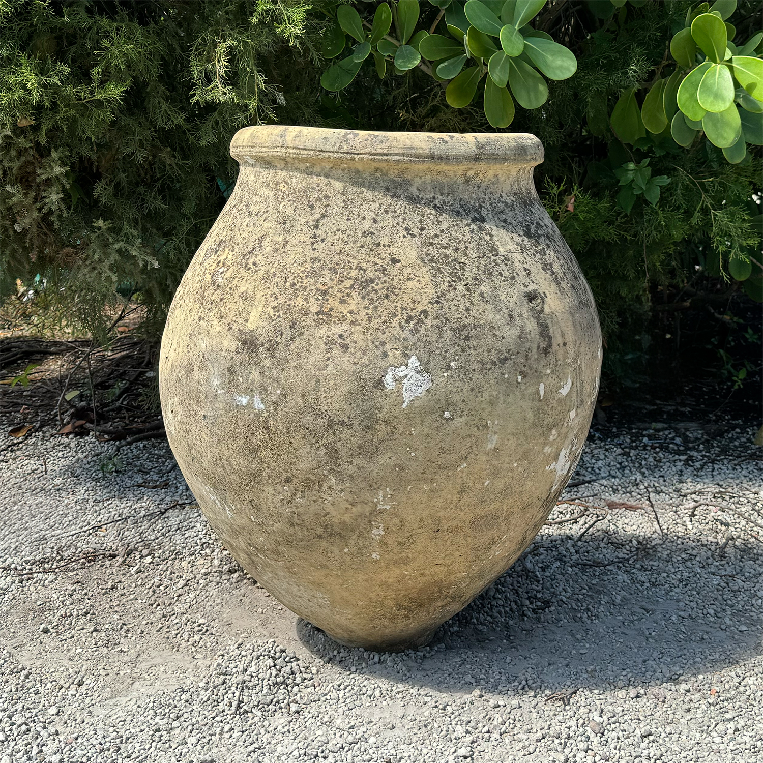 Antique Mediterranean Terracotta Olive Jar