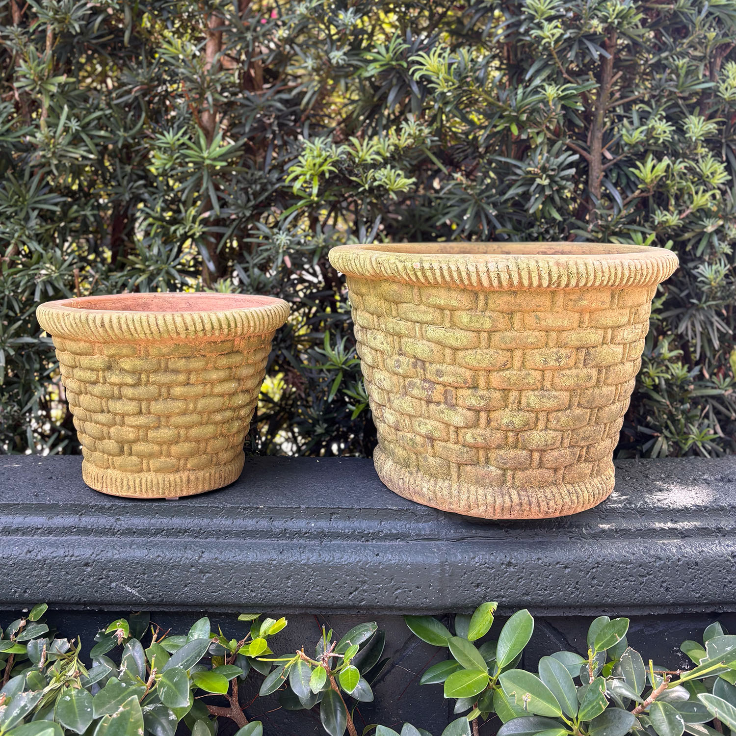 Aged Italian Terracotta Basket Planters